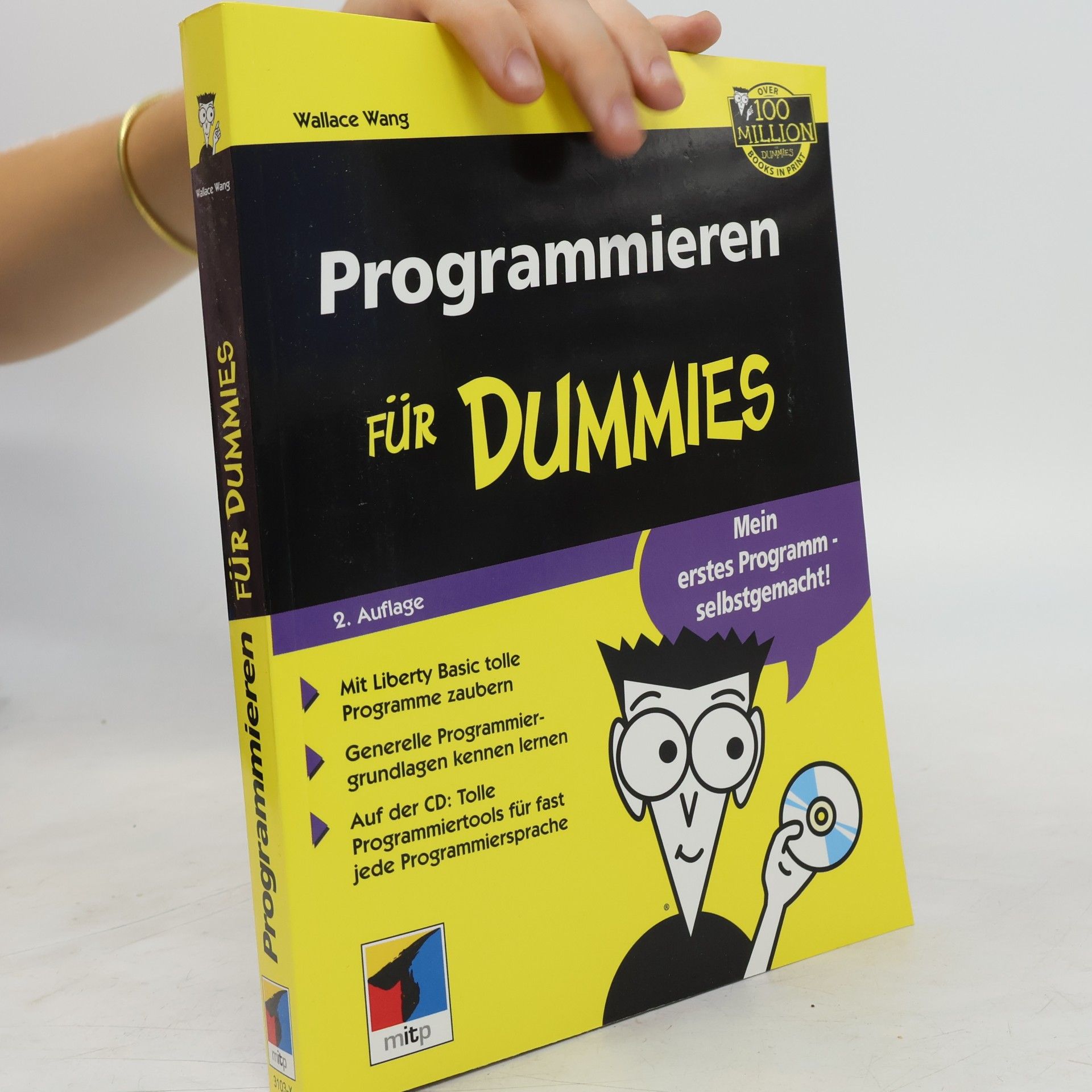 Wallace Wang Programmieren für Dummies