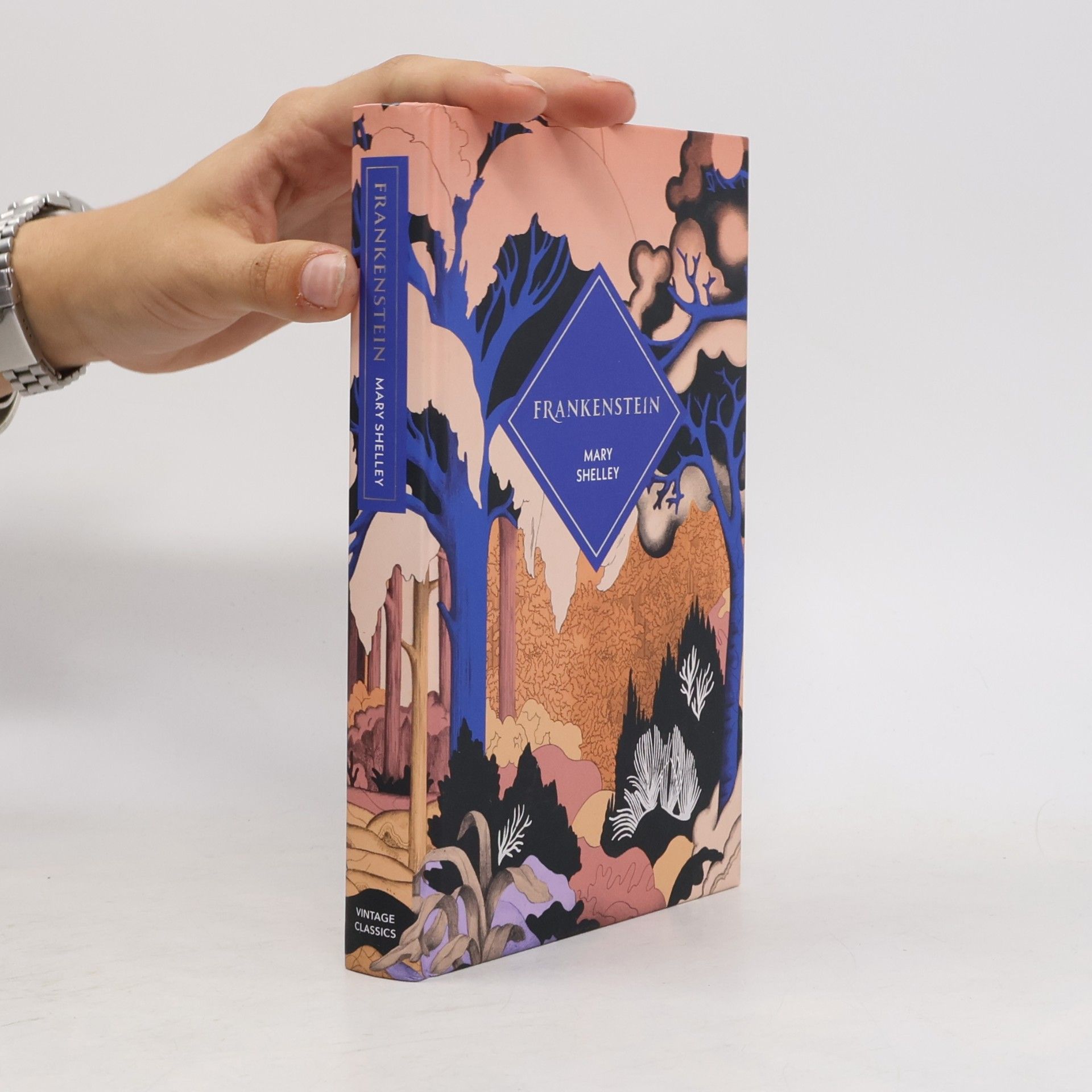 Mrs Mary Wollstonecraft Shelley Vintage Classics: Frankenstein