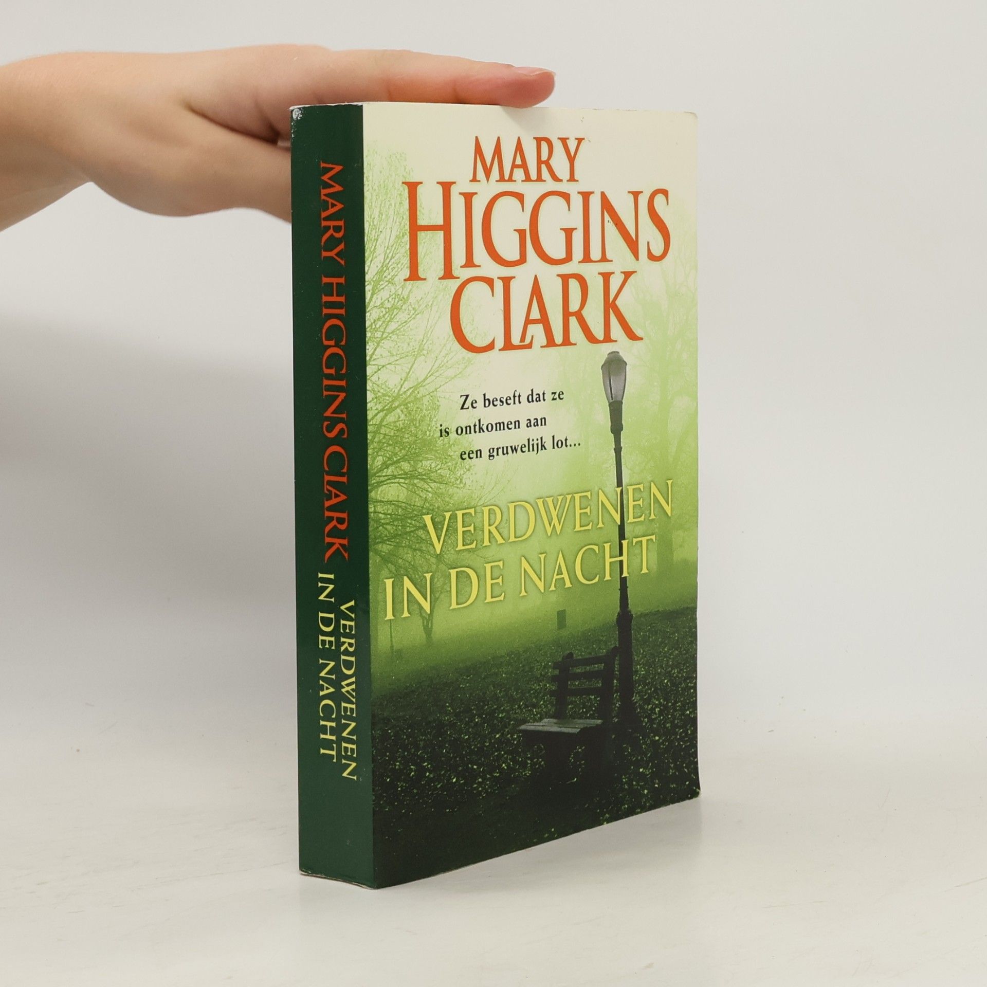 Mary Higgins Clark Verdwenen in de Nacht