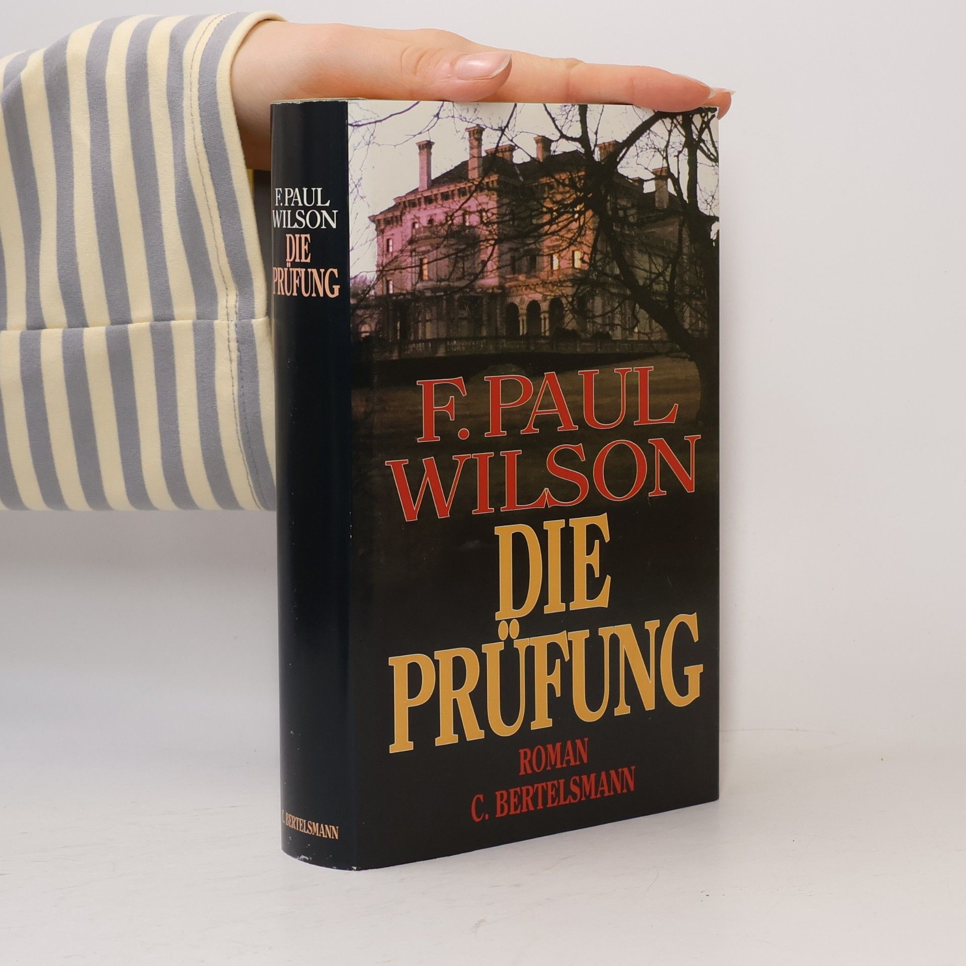 F. Paul Wilson Die Prüfung