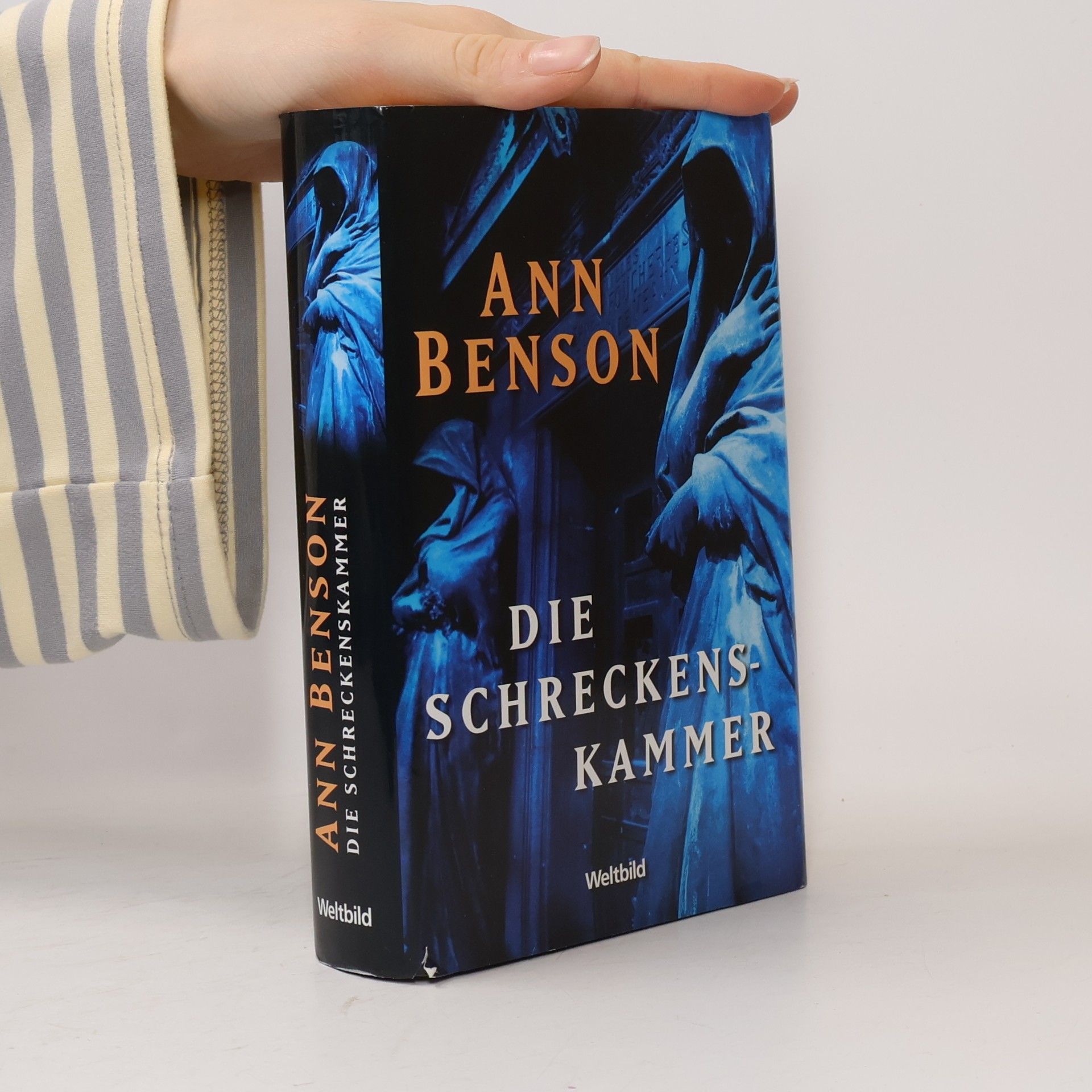 Ann Benson Die Schreckenskammer