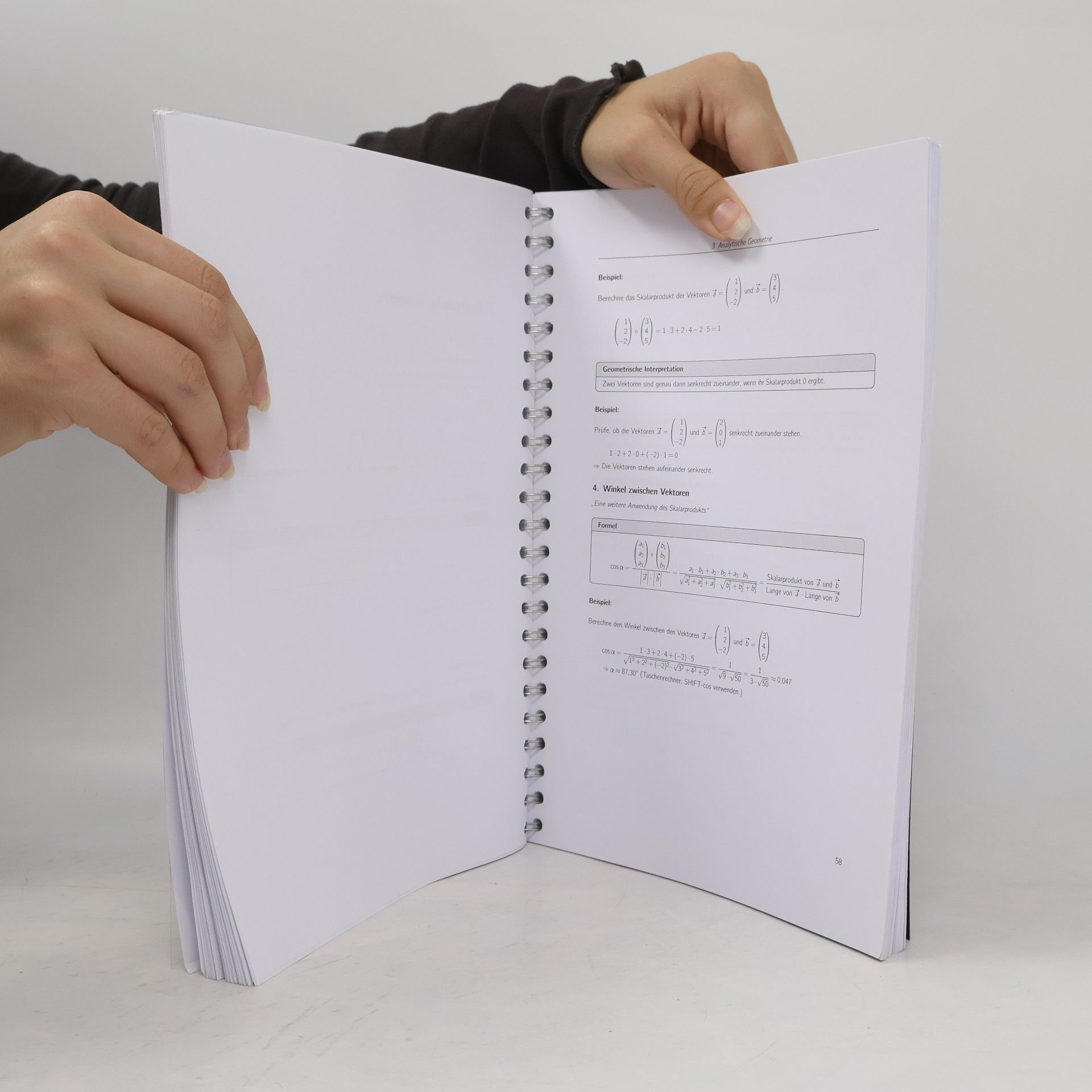 Nicolas Klupak Abiturwissen Mathematik