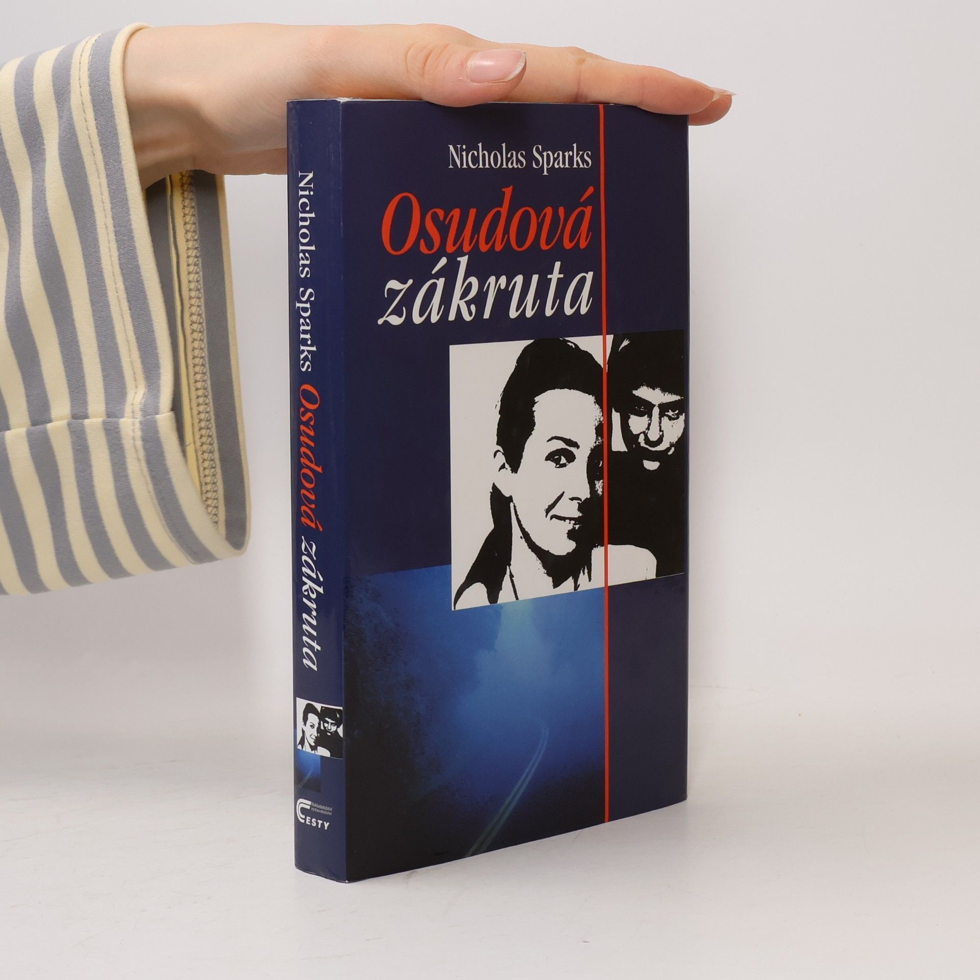 Nicholas Sparks Osudová zákruta