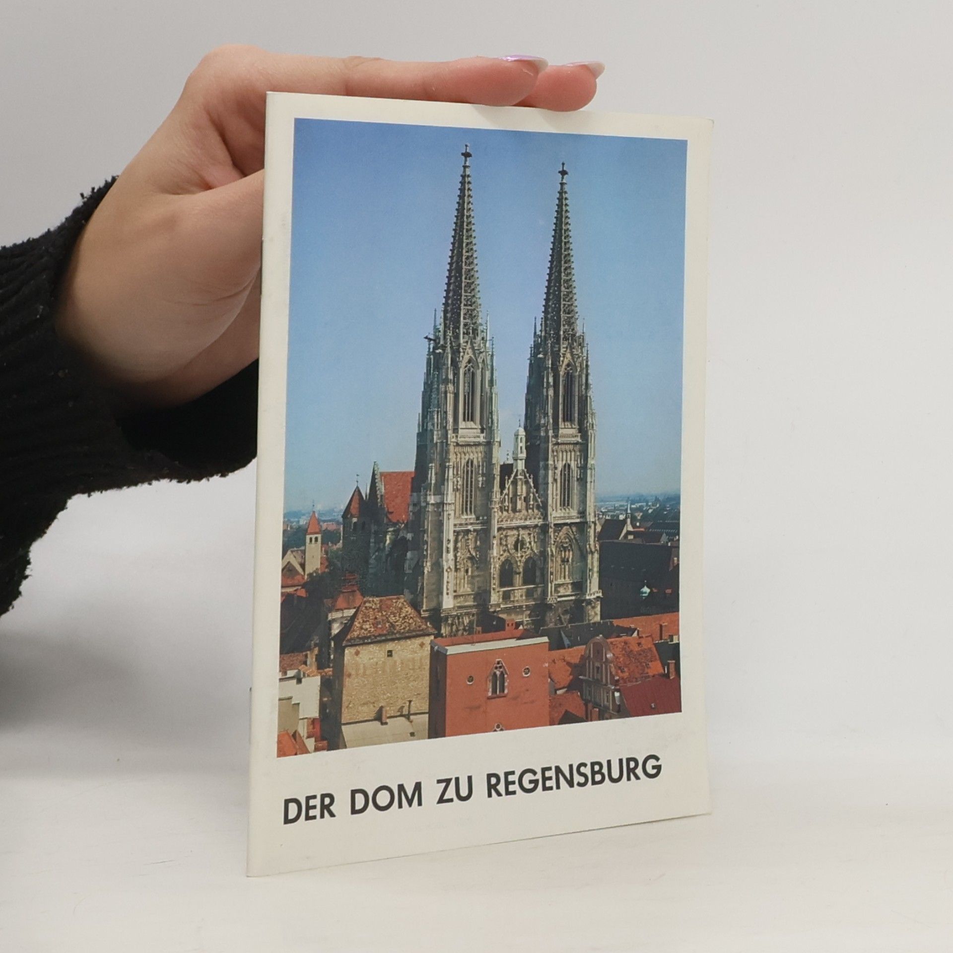 Kolektiv autorů Der Dom zu Regensburg