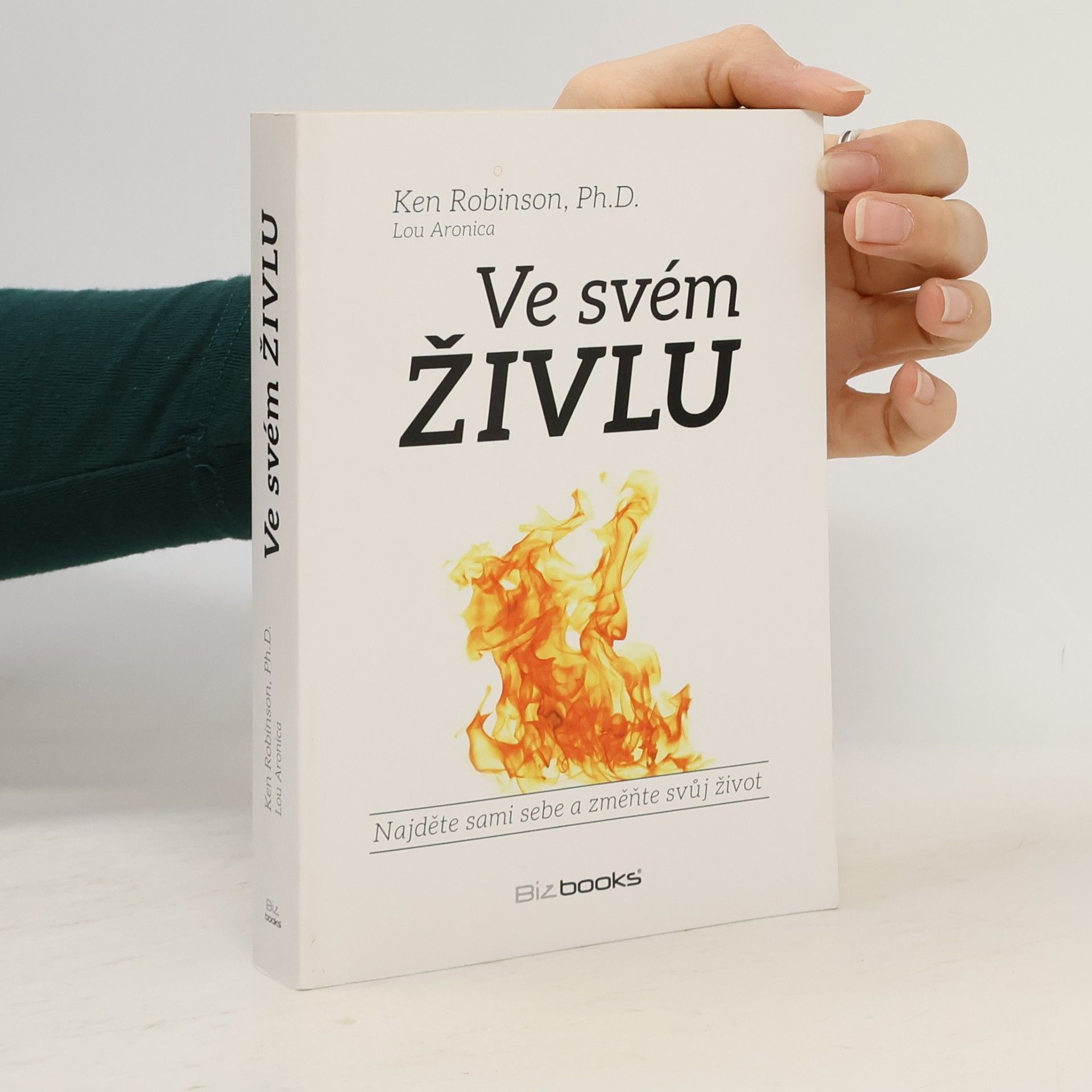 Ken Robinson Ve svém živlu. Najděte sami sebe a změňte svůj život
