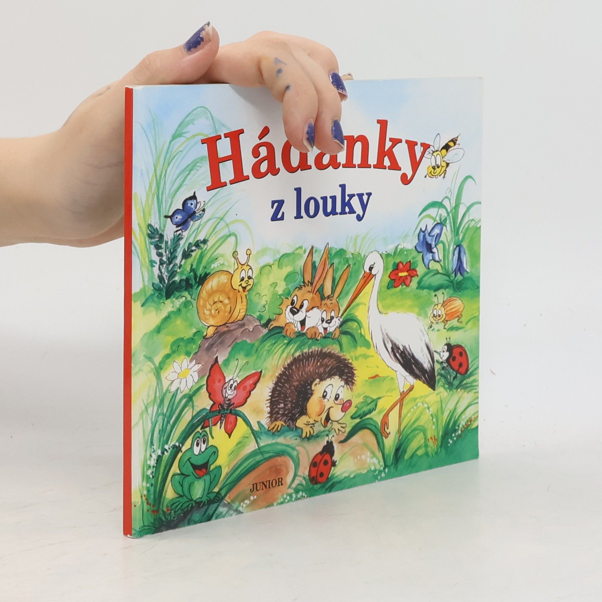 Zuzana Pospíšilová Hádanky z louky