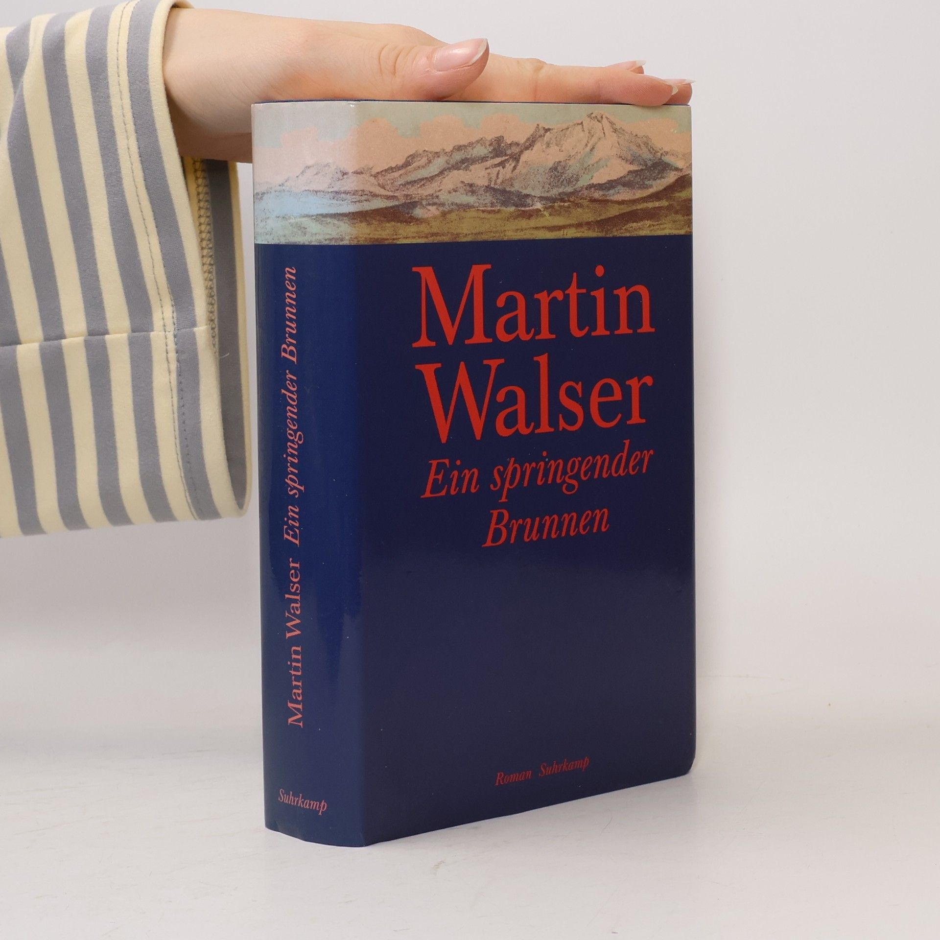 Martin Walser Ein springender Brunnen