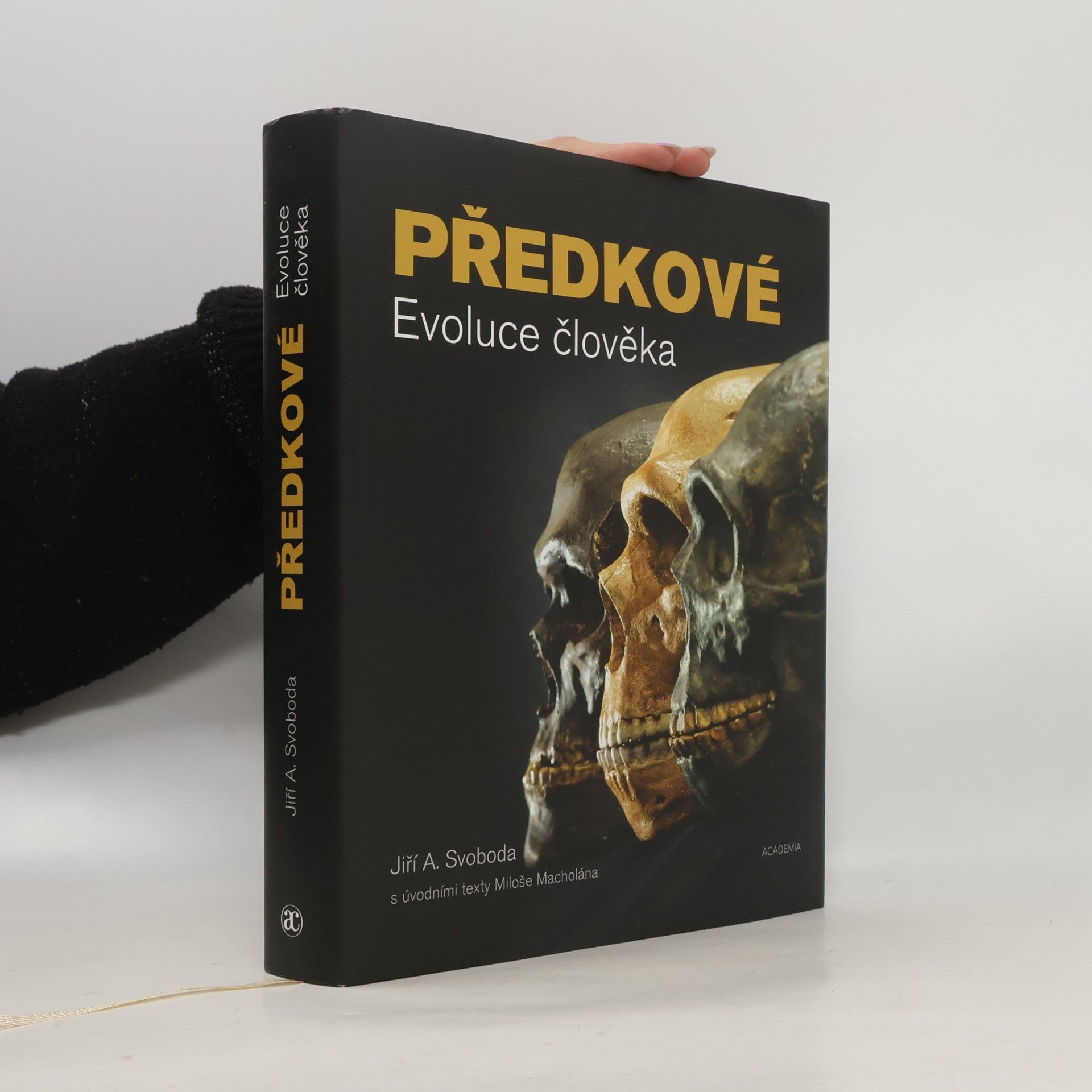 Předkové: Evoluce člověka