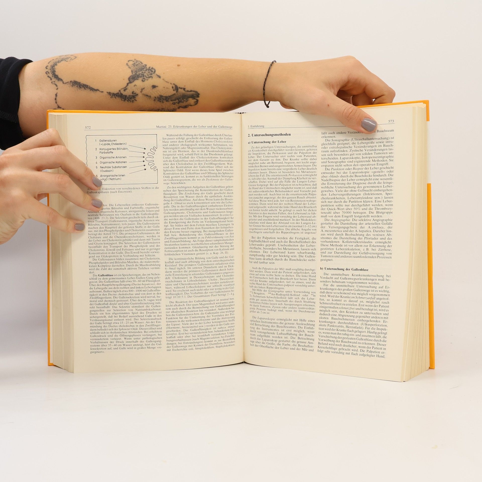 Rudolf Gross Lehrbuch der inneren Medizin