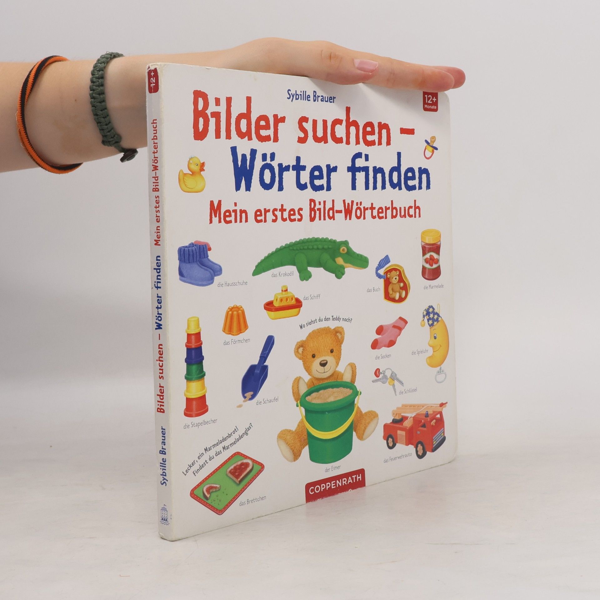 Sybille Brauer Mein erstes Bild-Wörterbuch