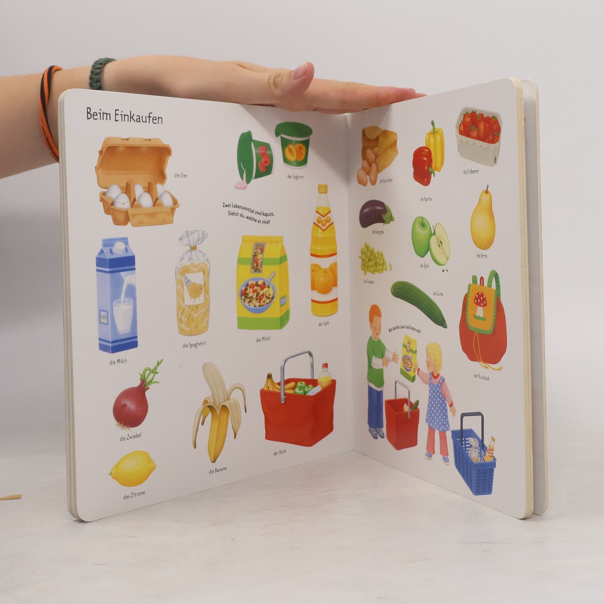 Sybille Brauer Mein erstes Bild-Wörterbuch