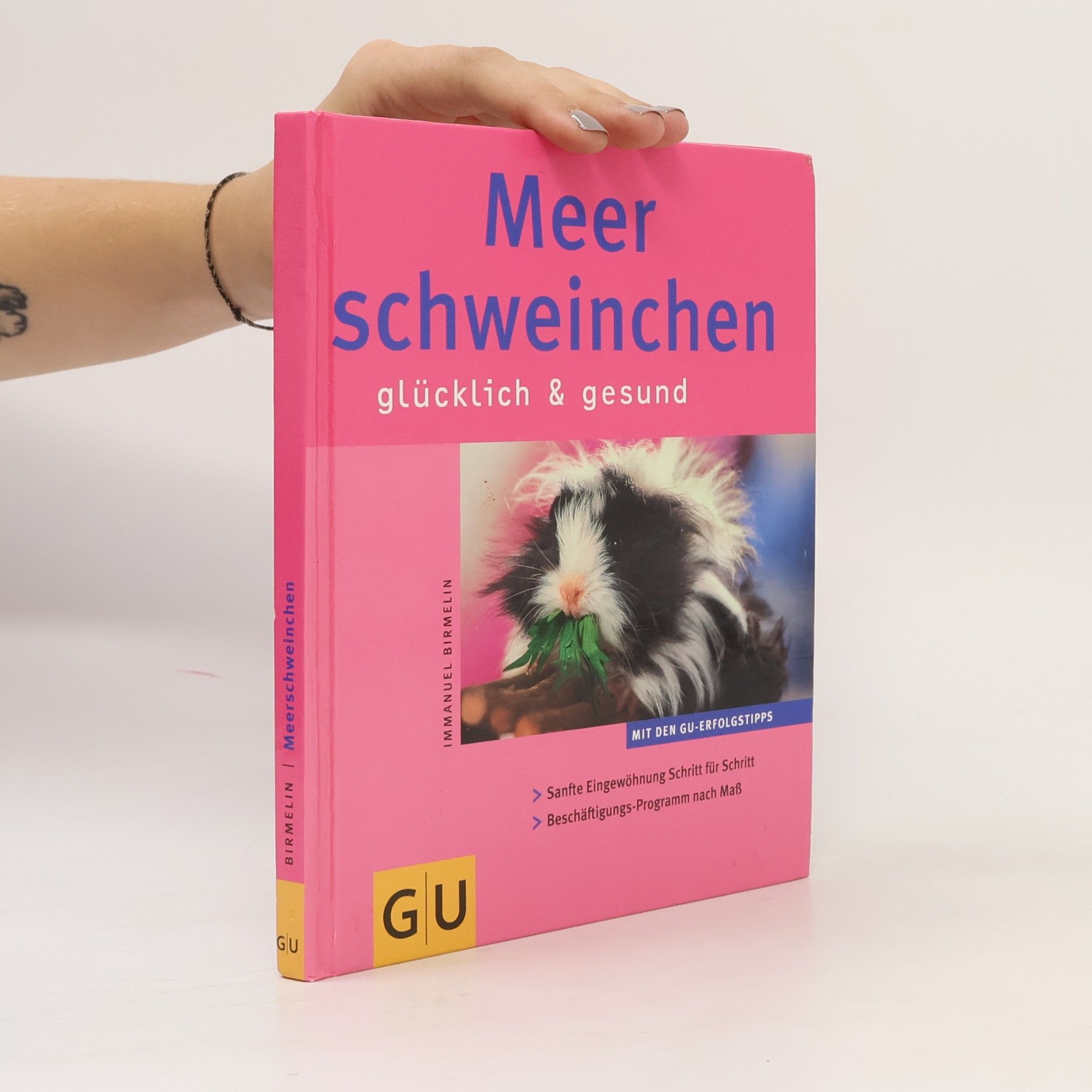 Immanuel Birmelin Meerschweinchen