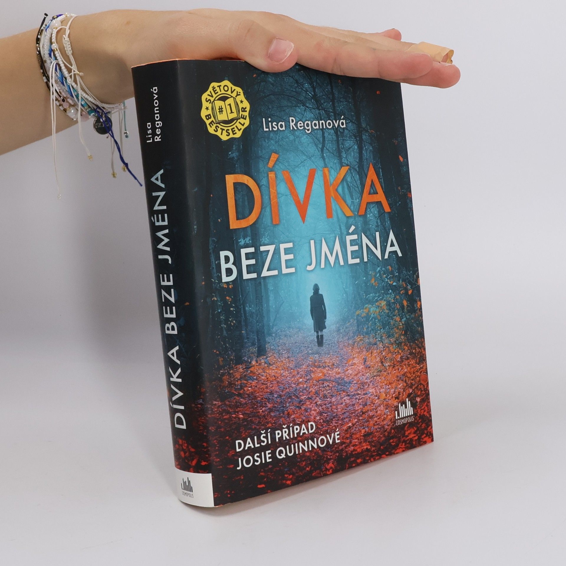 Lisa Regan Dívka beze jména: Další případ Josie Quinnové