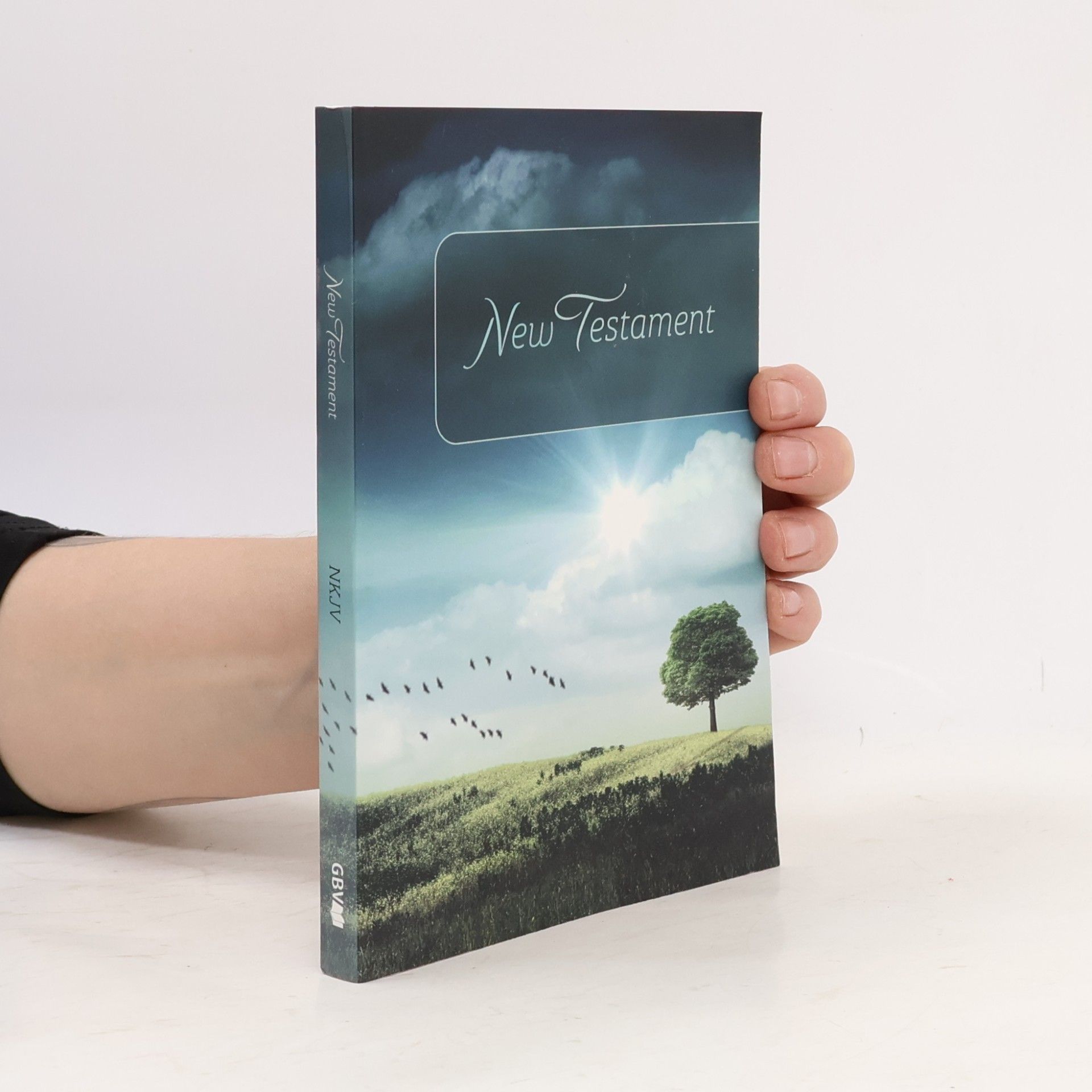 Lazàr Andrada Lorena New Testament