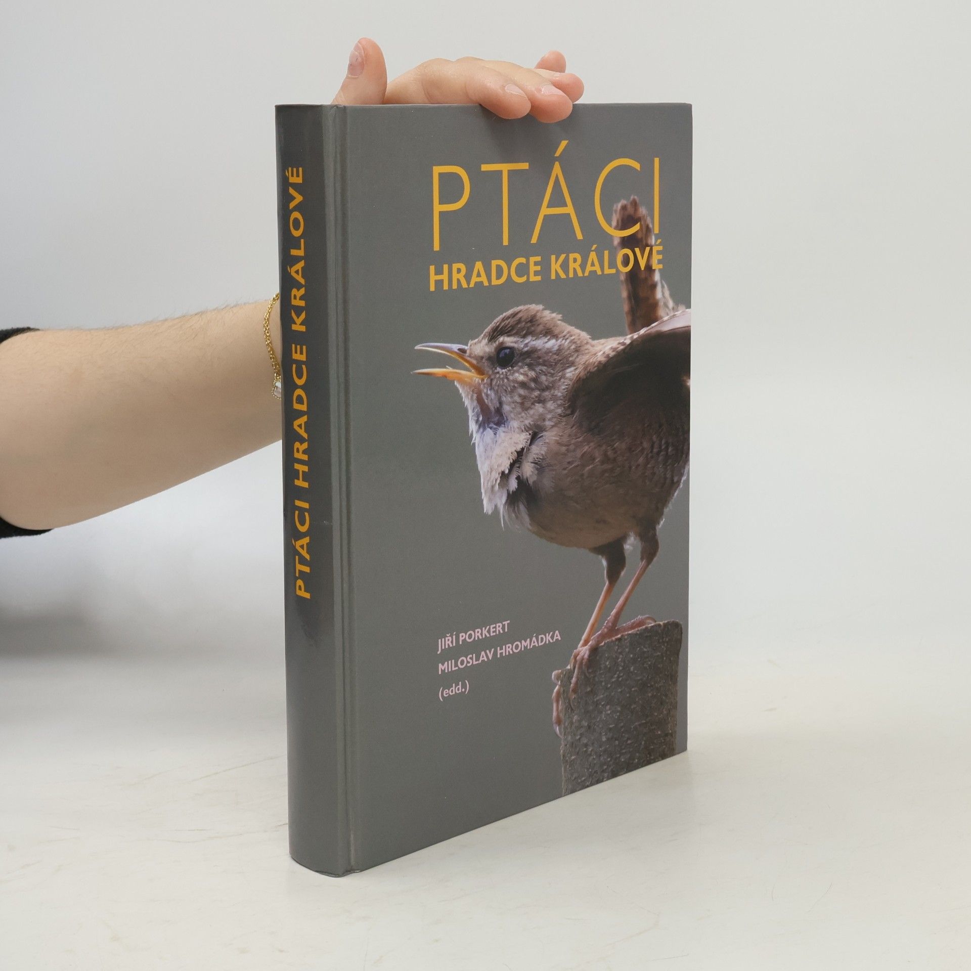 Jiří Porkert Ptáci Hradce Králové