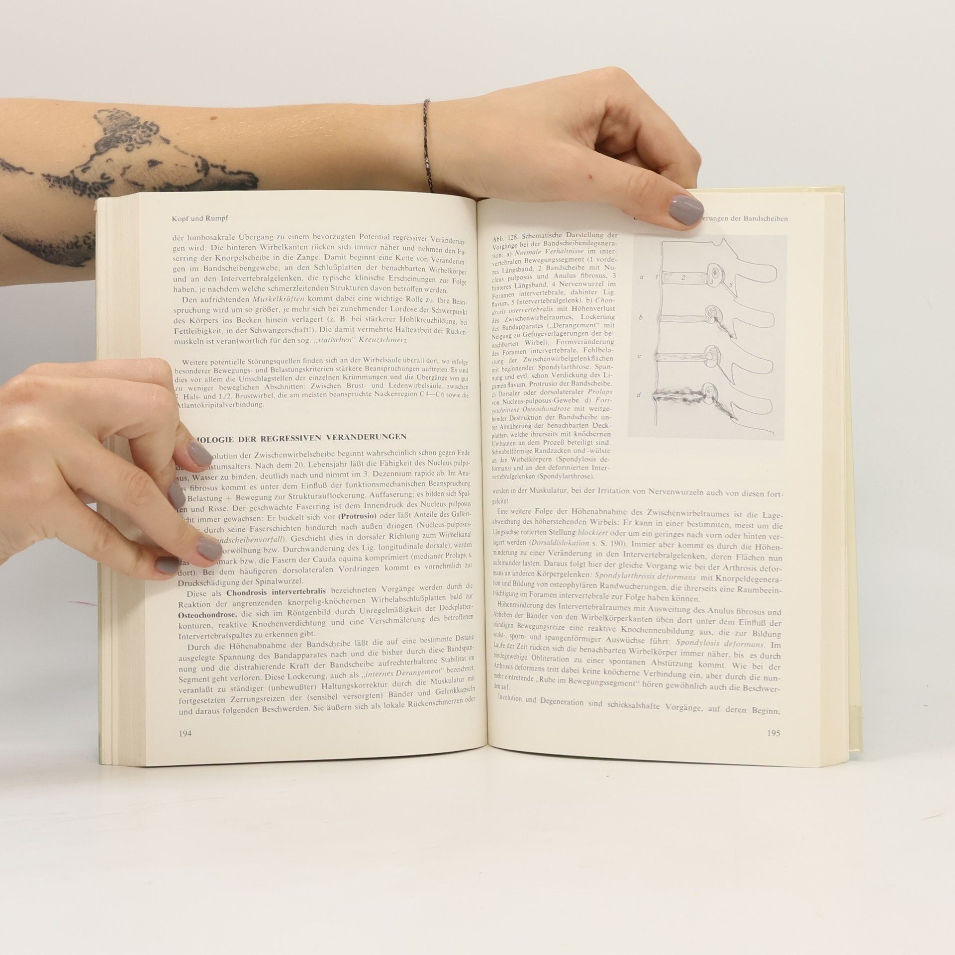 Peter Pitzen Kurzgefasstes Lehrbuch der Orthopädie