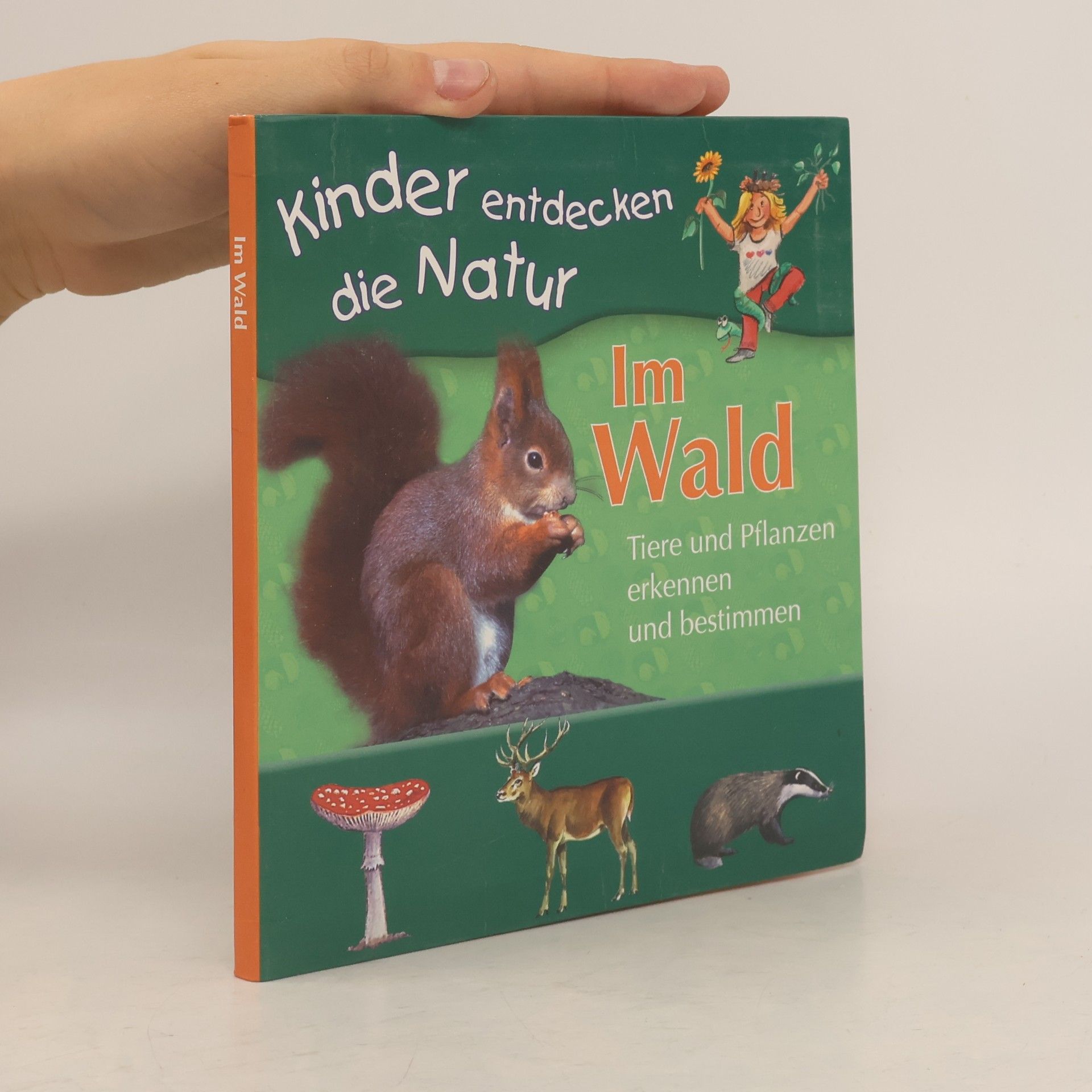 kolektiv Im Wald