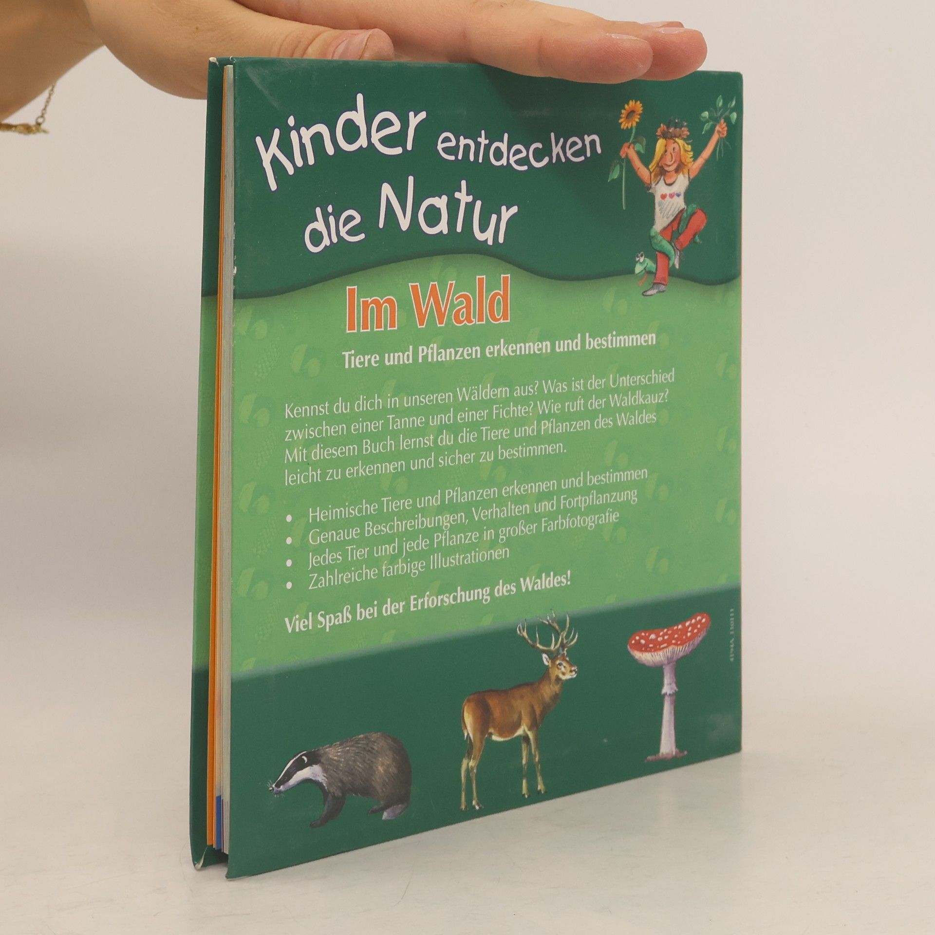 kolektiv Im Wald