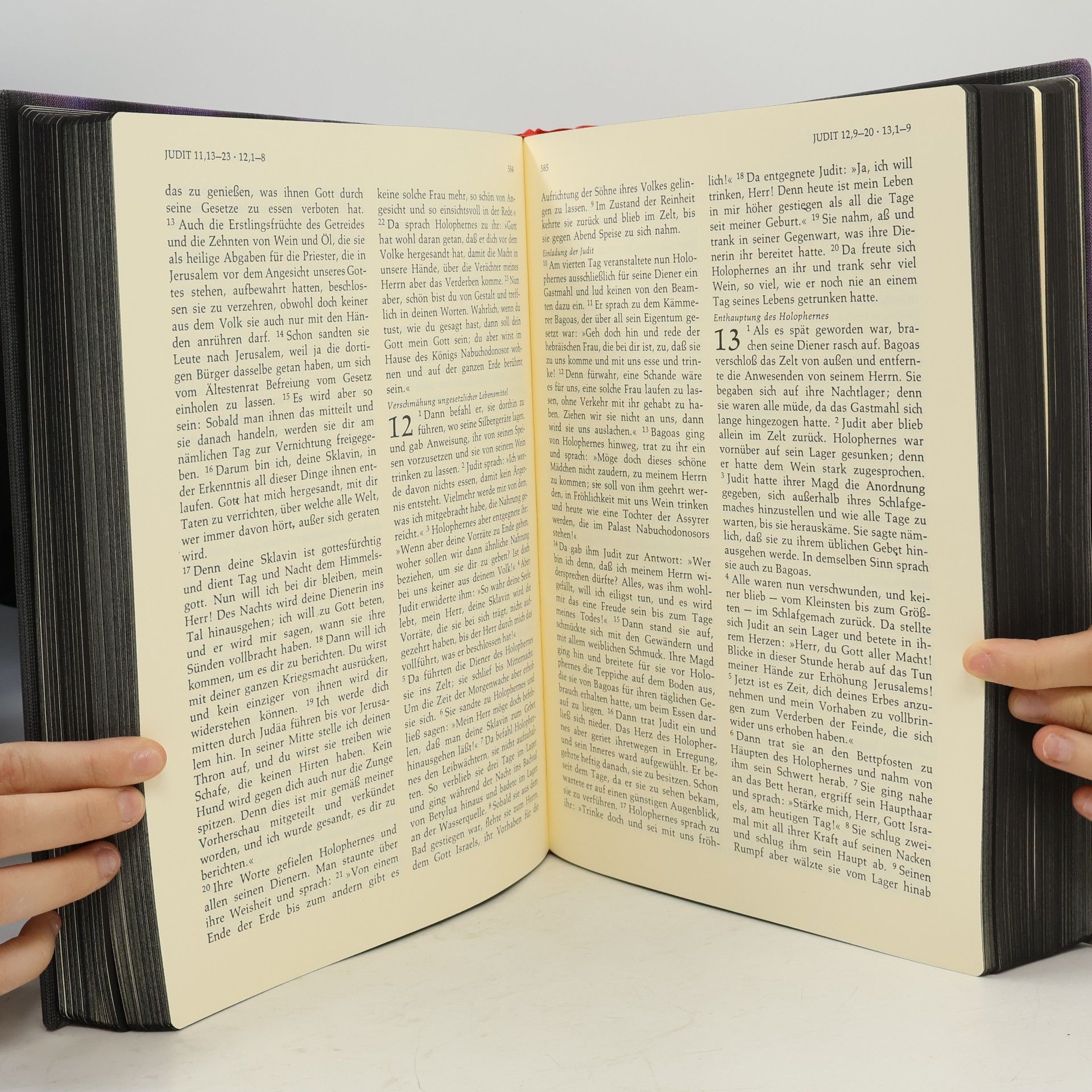Meinrad Stenzel Bibel