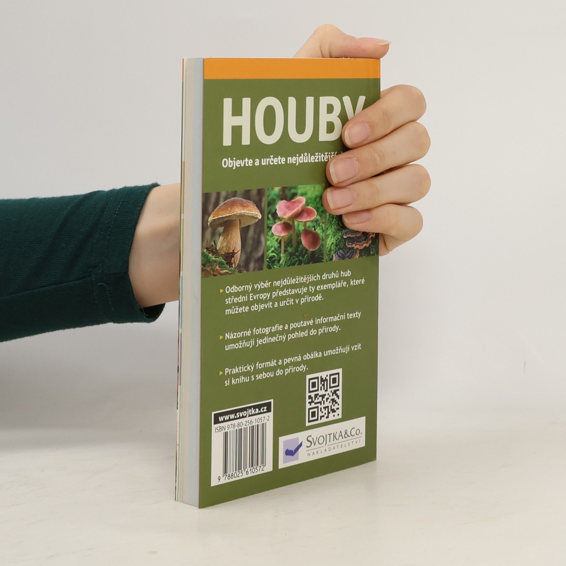 Angelika Lang Houby : [objevte a určete nejdůležitější druhy]