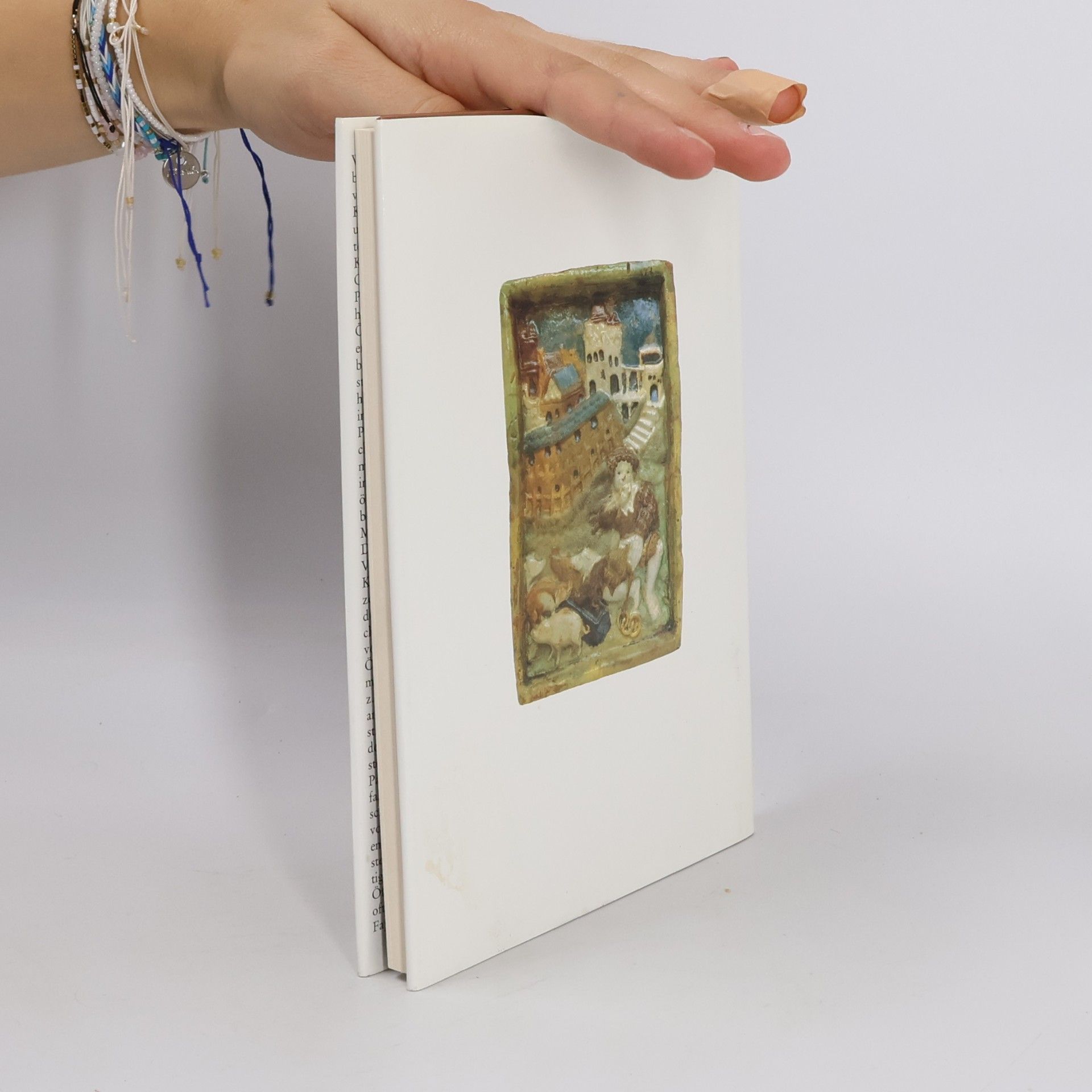 Volker Arnold Kleine Schleswig-Holstein-Bücher: Kachelöfen in Schleswig-Holstein