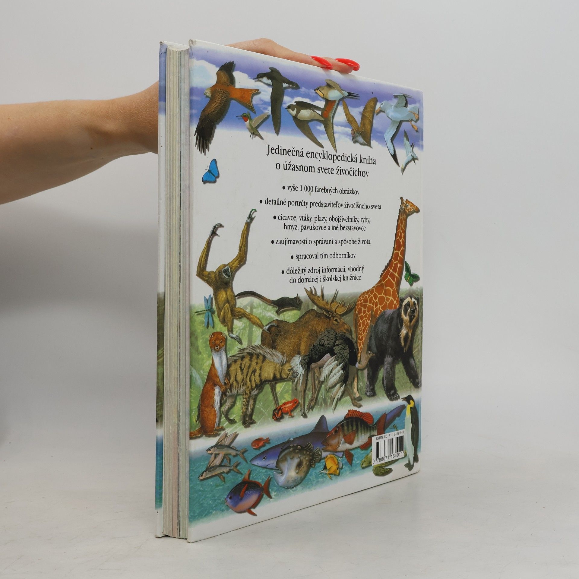 Autorenkollektiv Detská encyklopédia zvierat