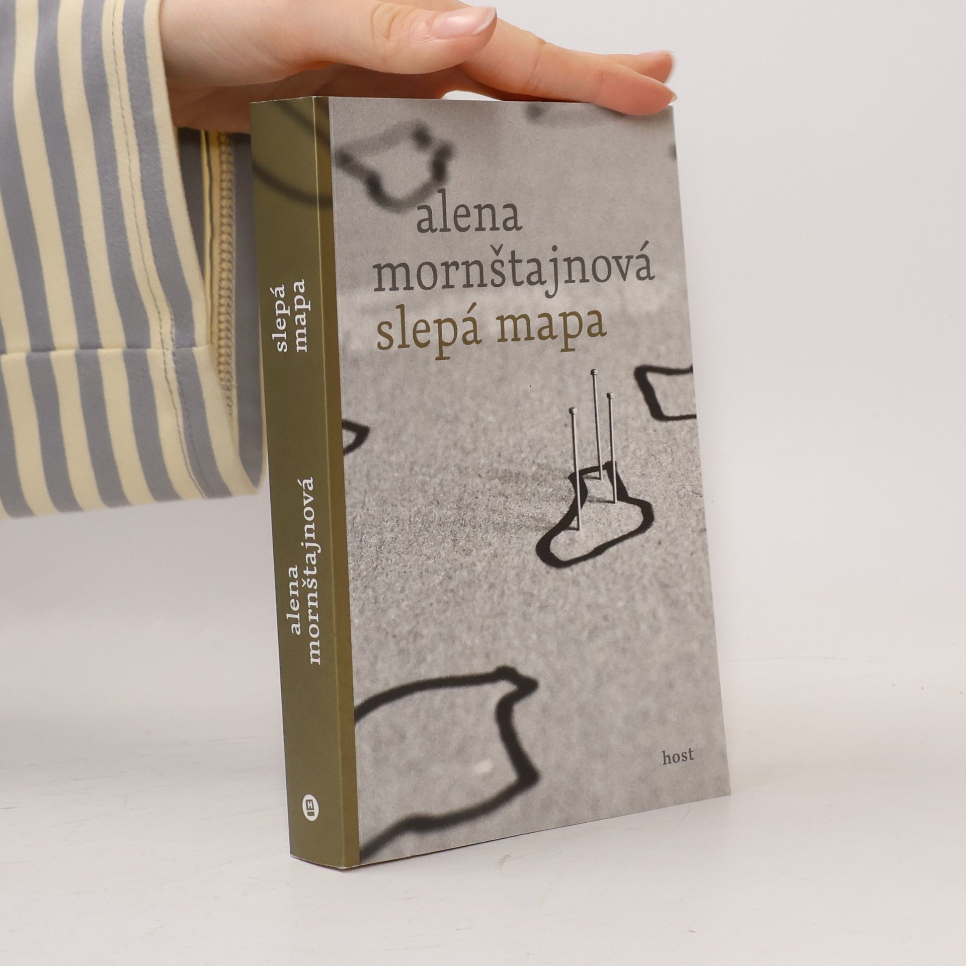 Alena Mornštajnová Slepá mapa