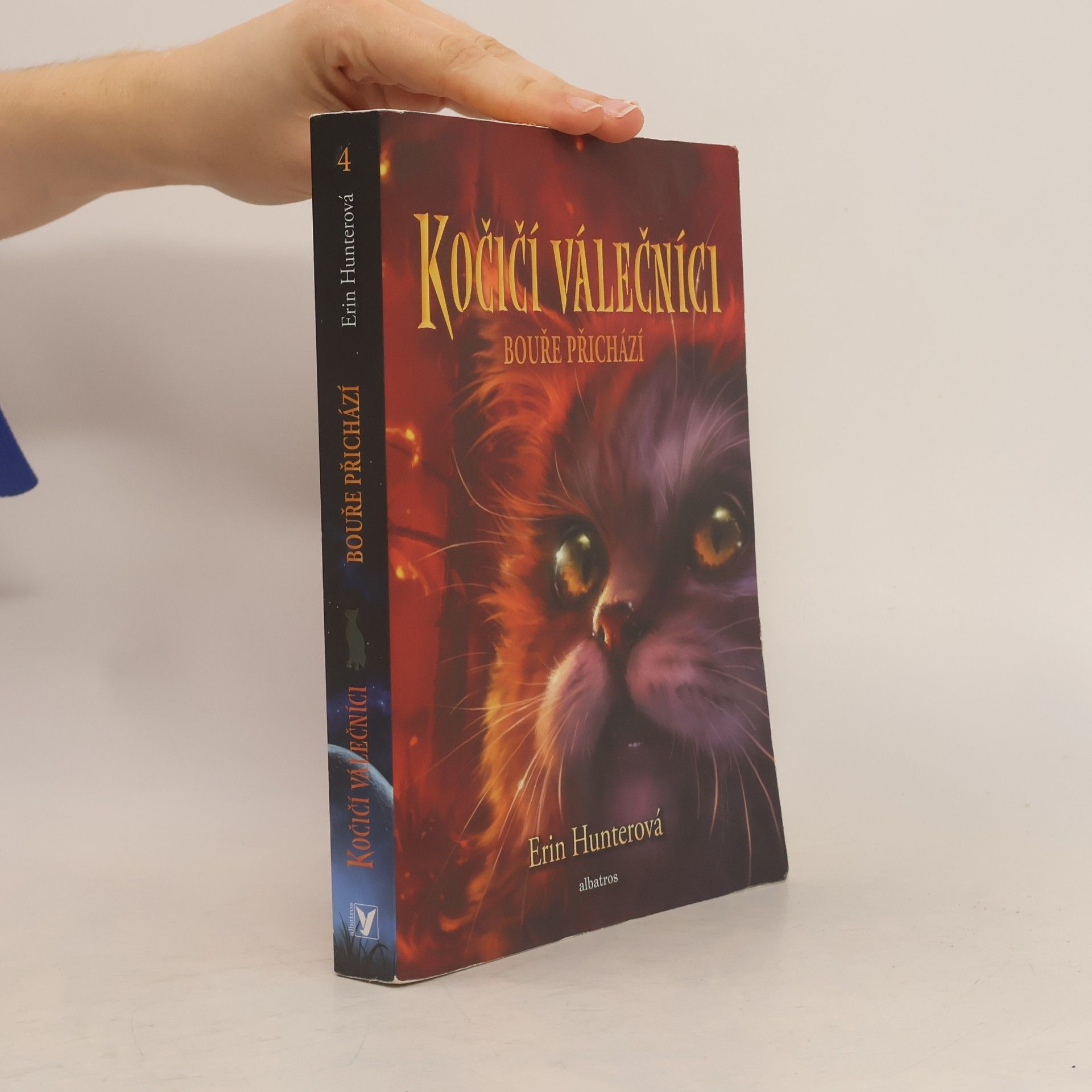Bouře přichází. Kočičí válečníci