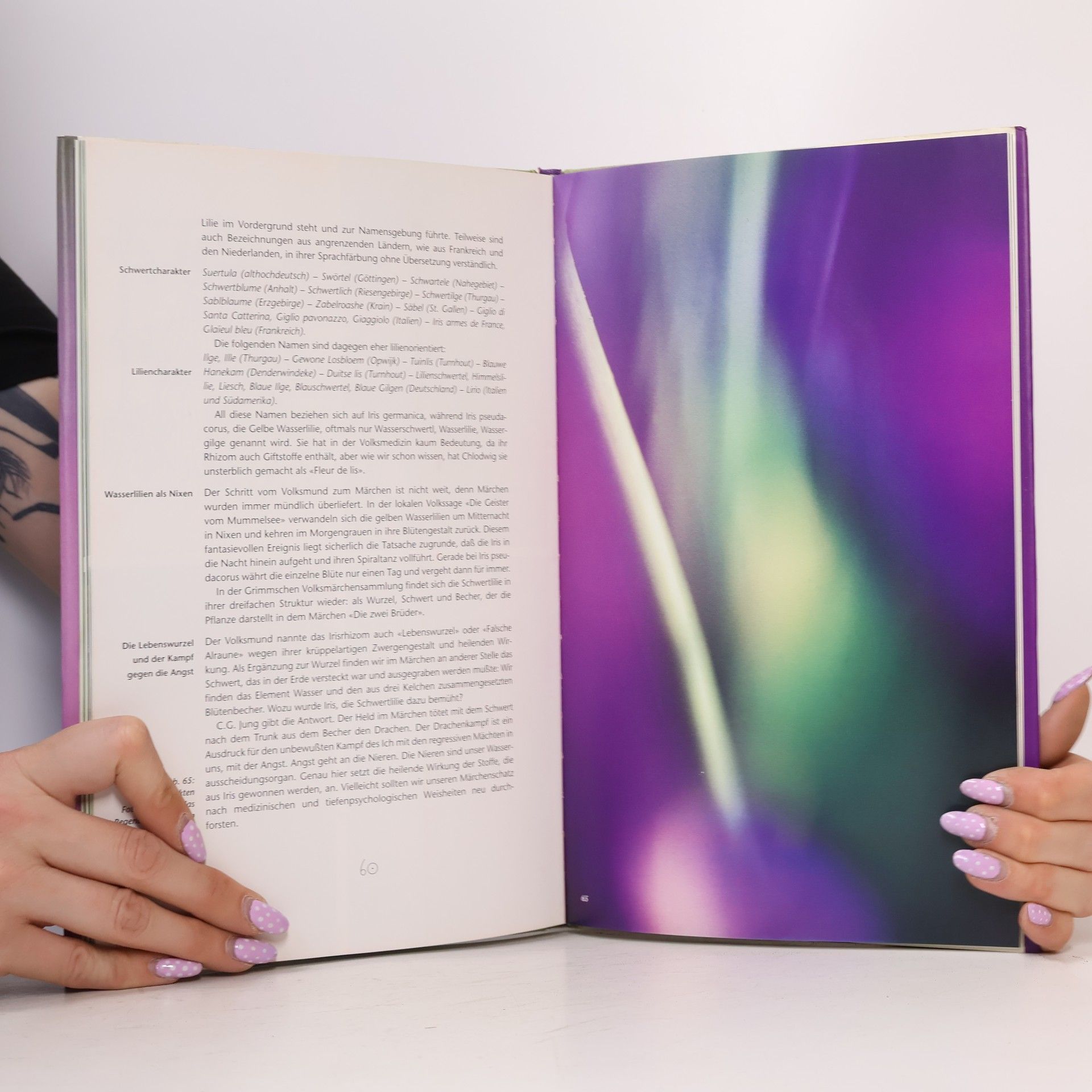 Christina Kiehs Glos Iris