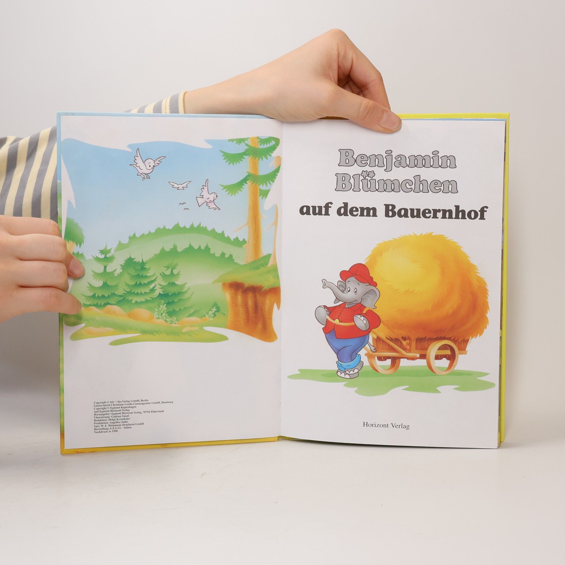 Autorenkollektiv Benjamin Blümchen auf dem Bauernhof