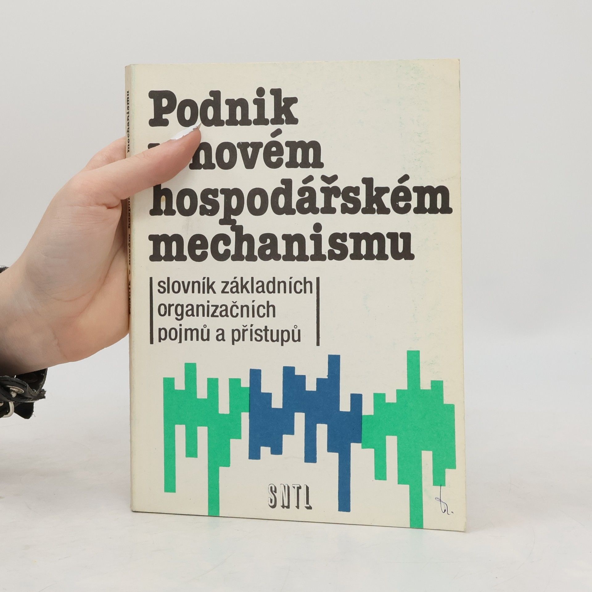 Autorenkollektiv Podnik v novém hospodářském mechanismu