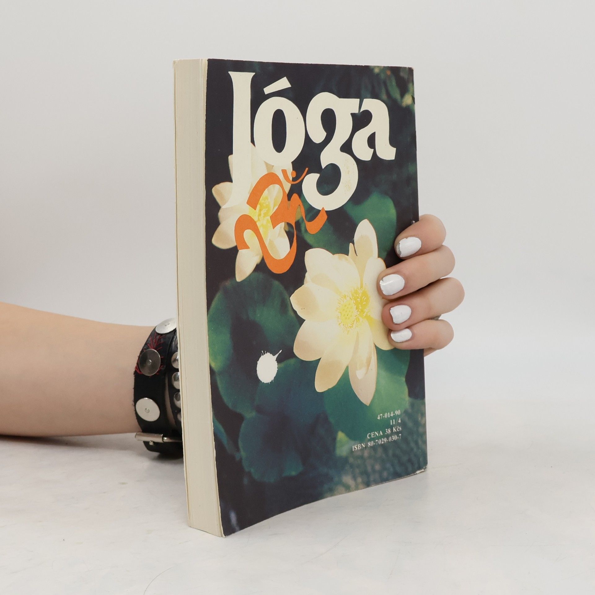 Swami Maheshwarananda Jóga v denním životě