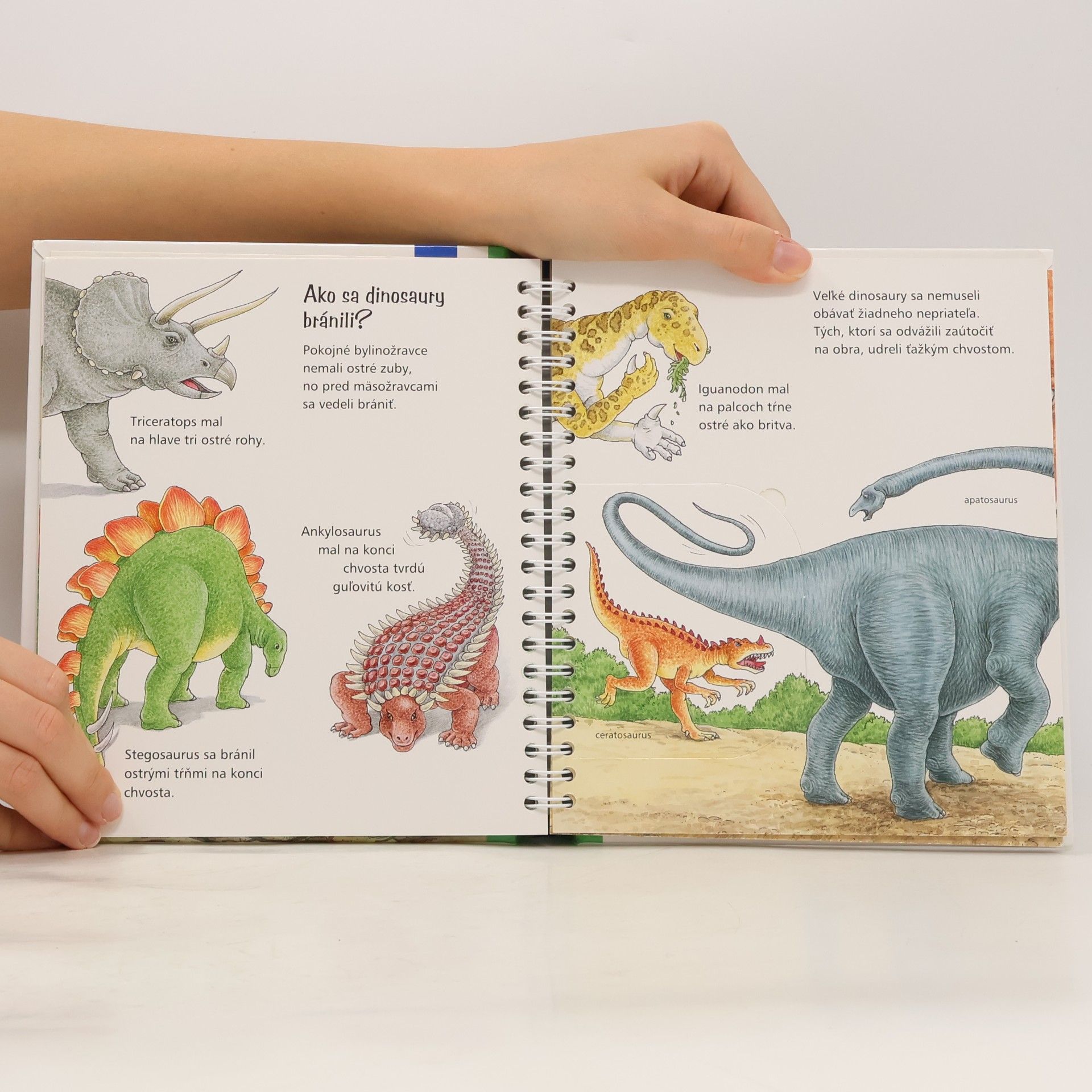 Angela Weinhold Dinosaury