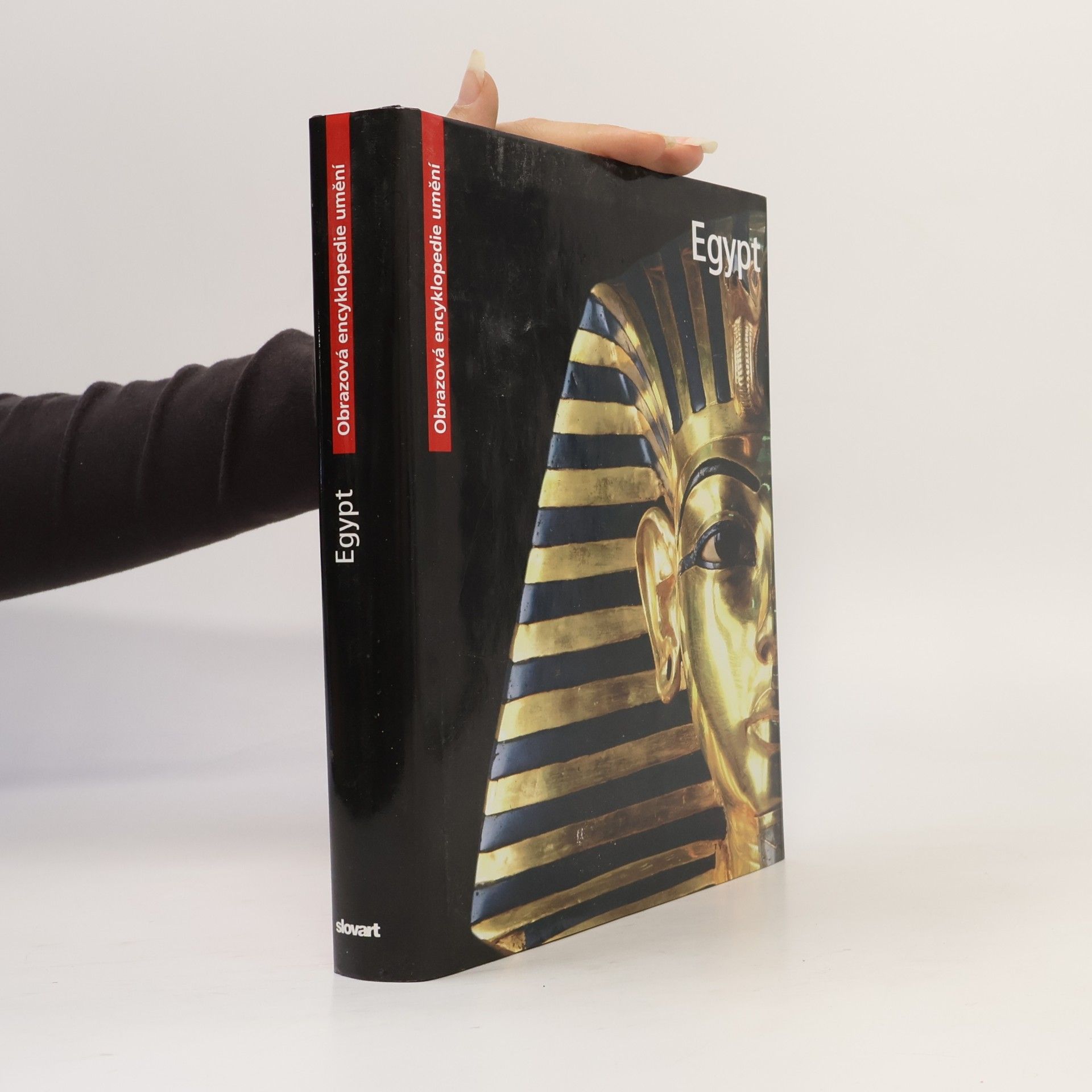 Alice Cartocci Egypt. Obrazová encyklopedie umění