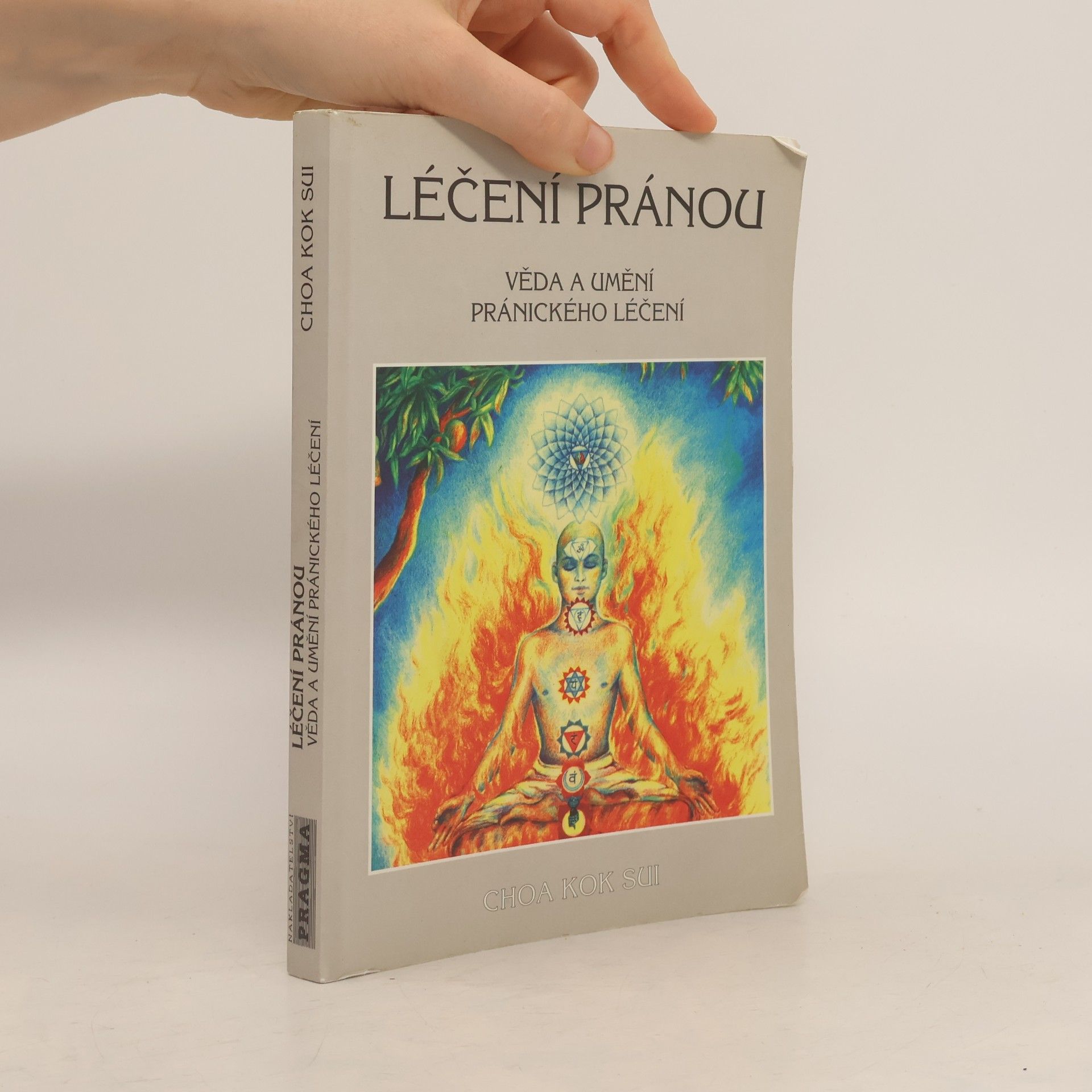 Ivan Prokeš Léčení pránou: Věda a umění pránického léčení