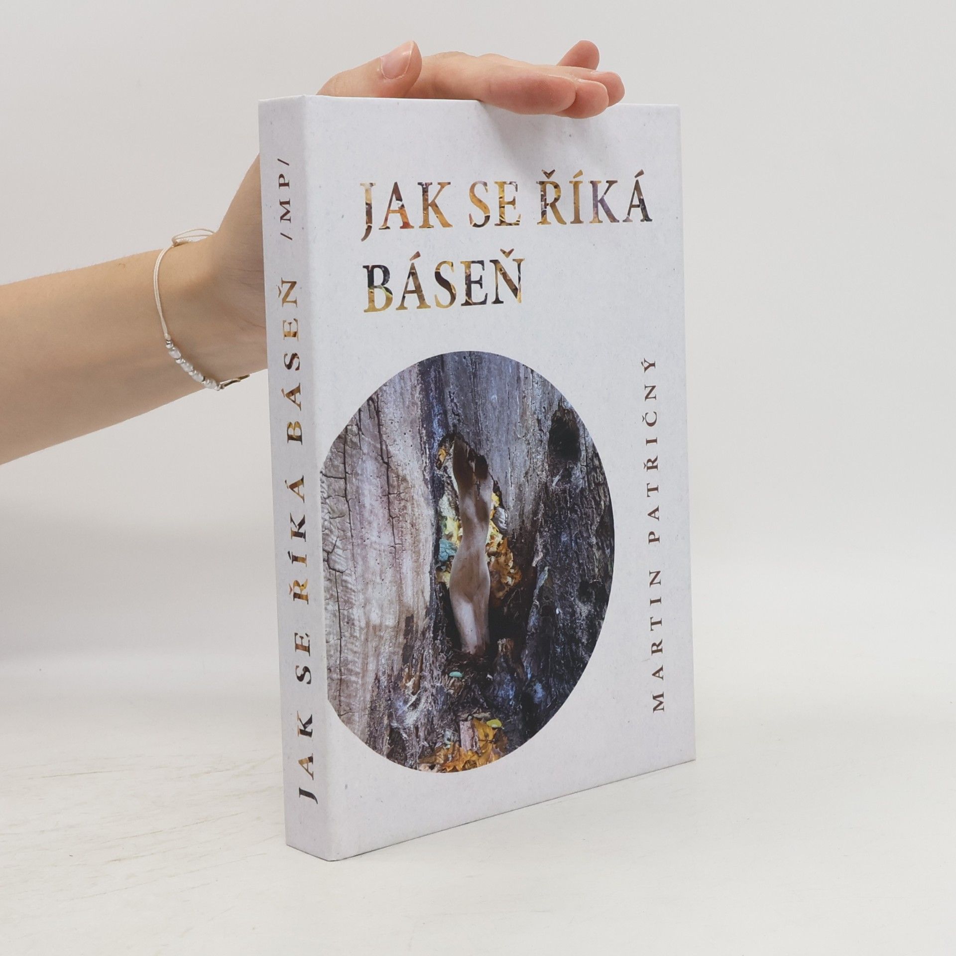 Martin Patřičný Jak se říká báseň