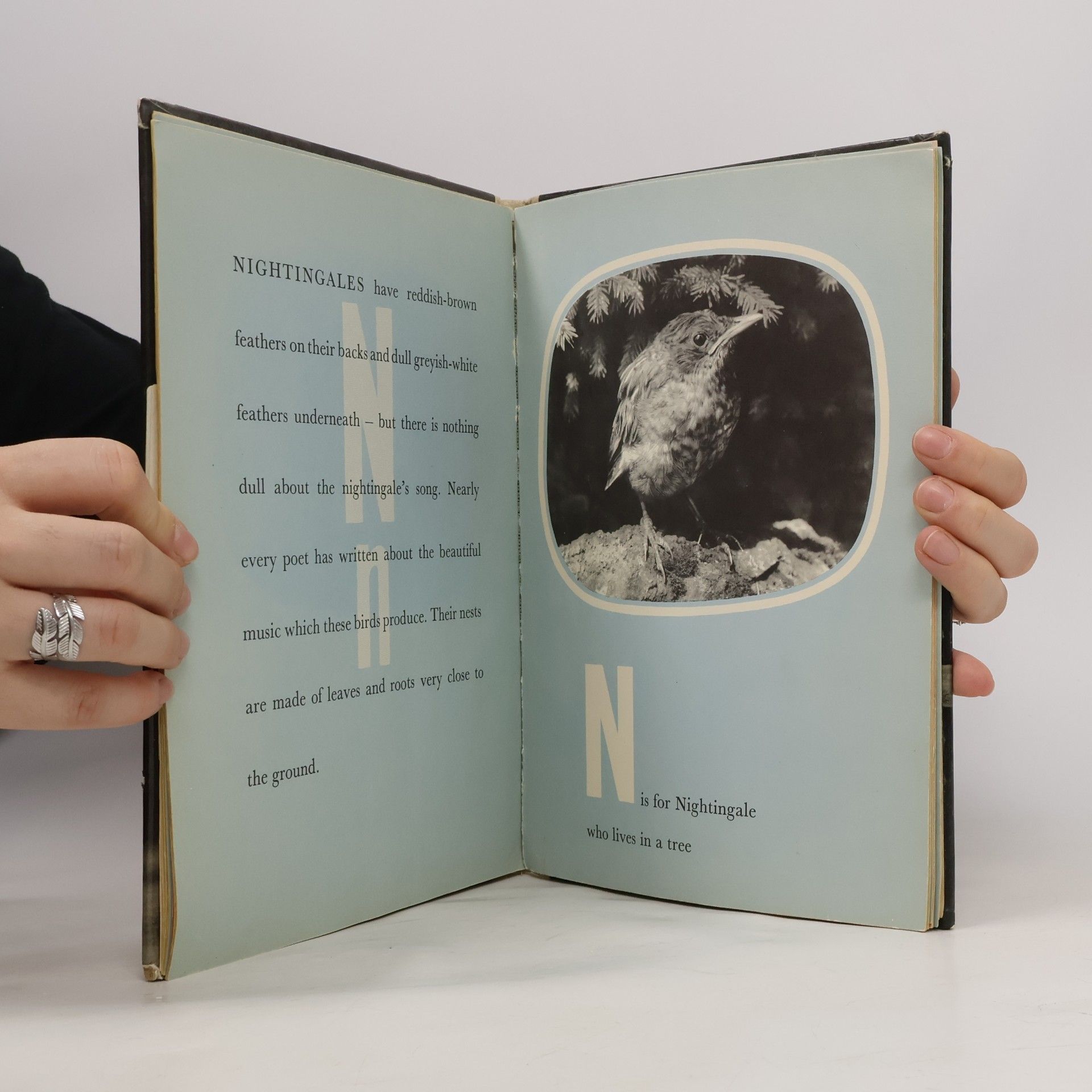 František Vopat Animal Alphabet