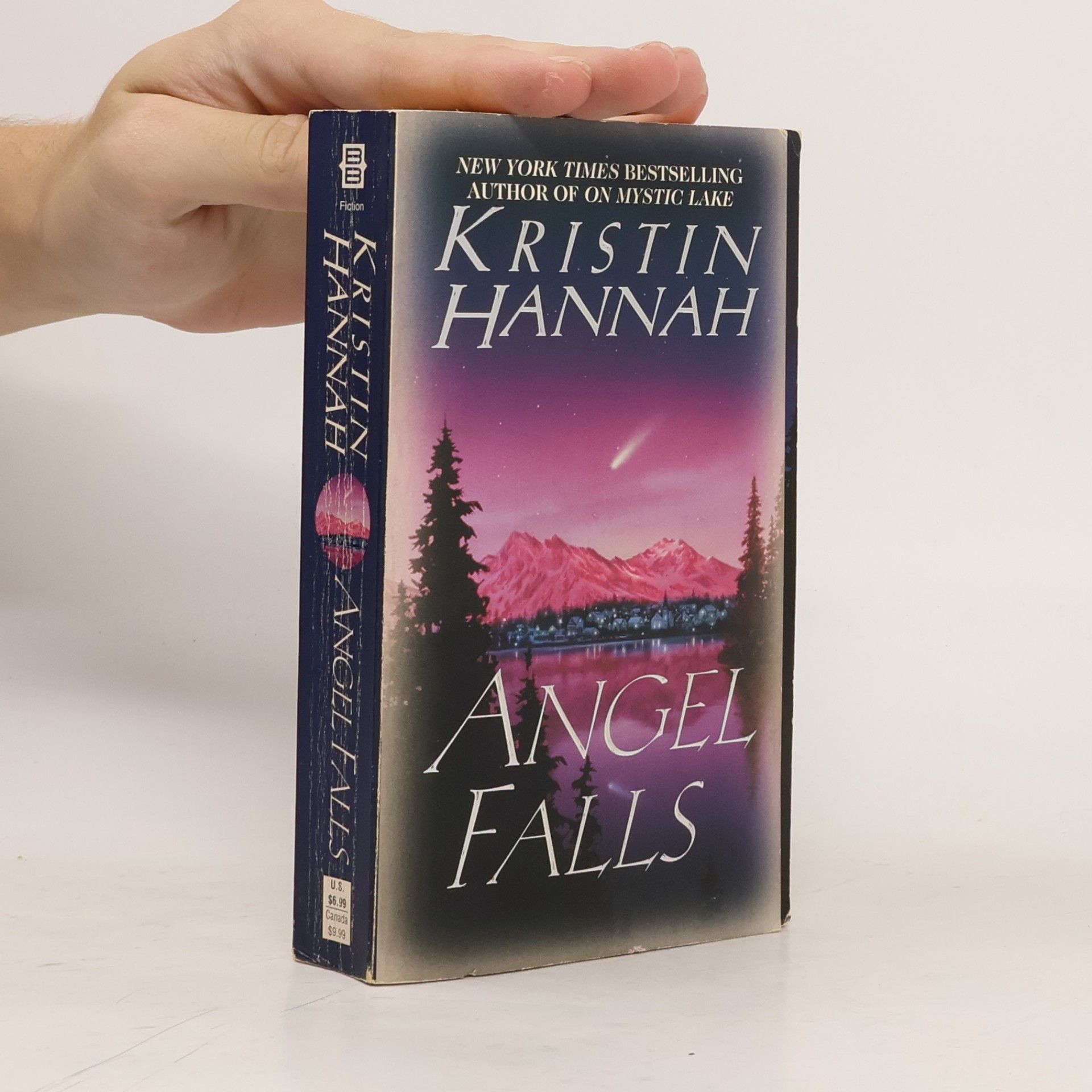 Kristin Hannah Angel Falls