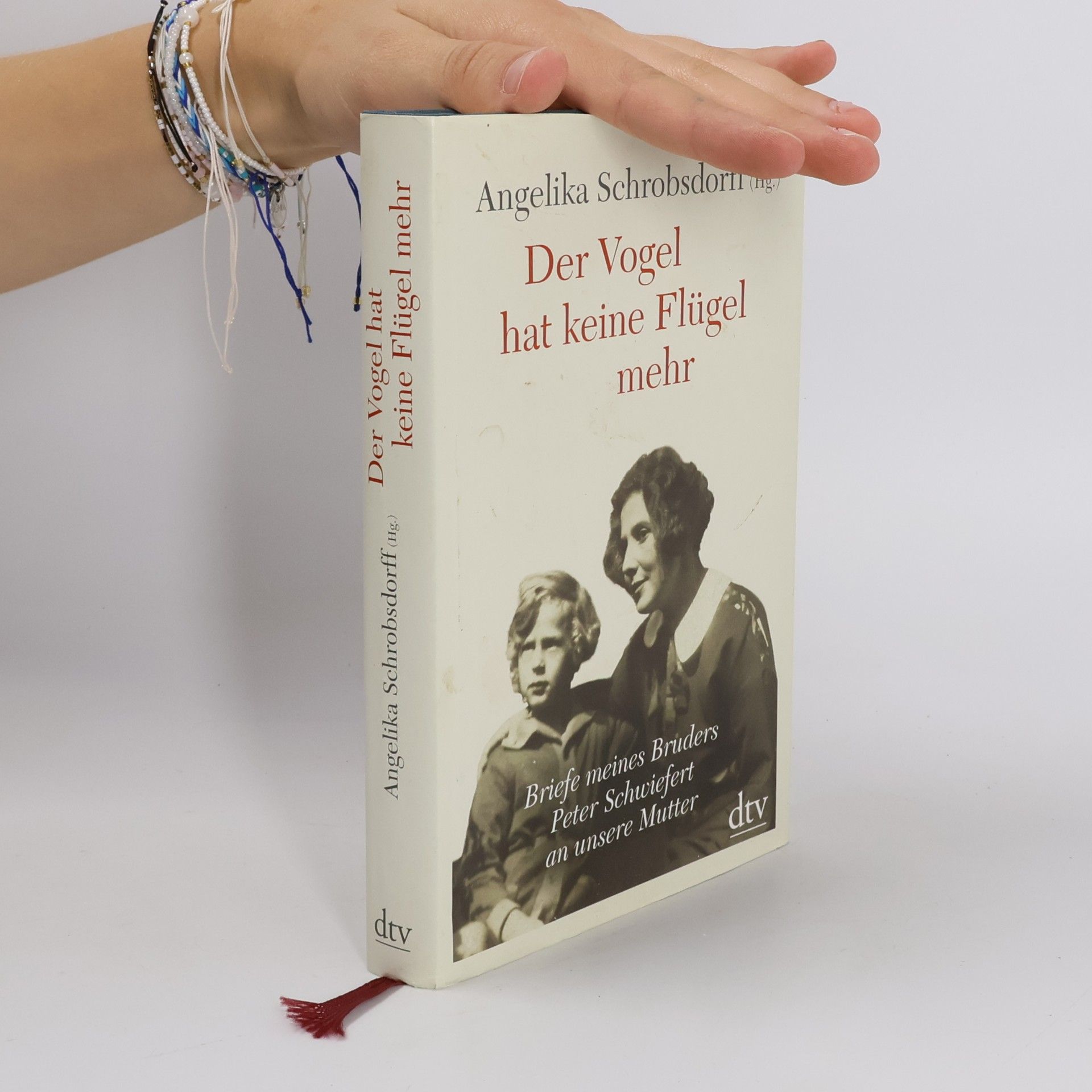 Peter Schwiefert Der Vogel hat keine Flügel mehr