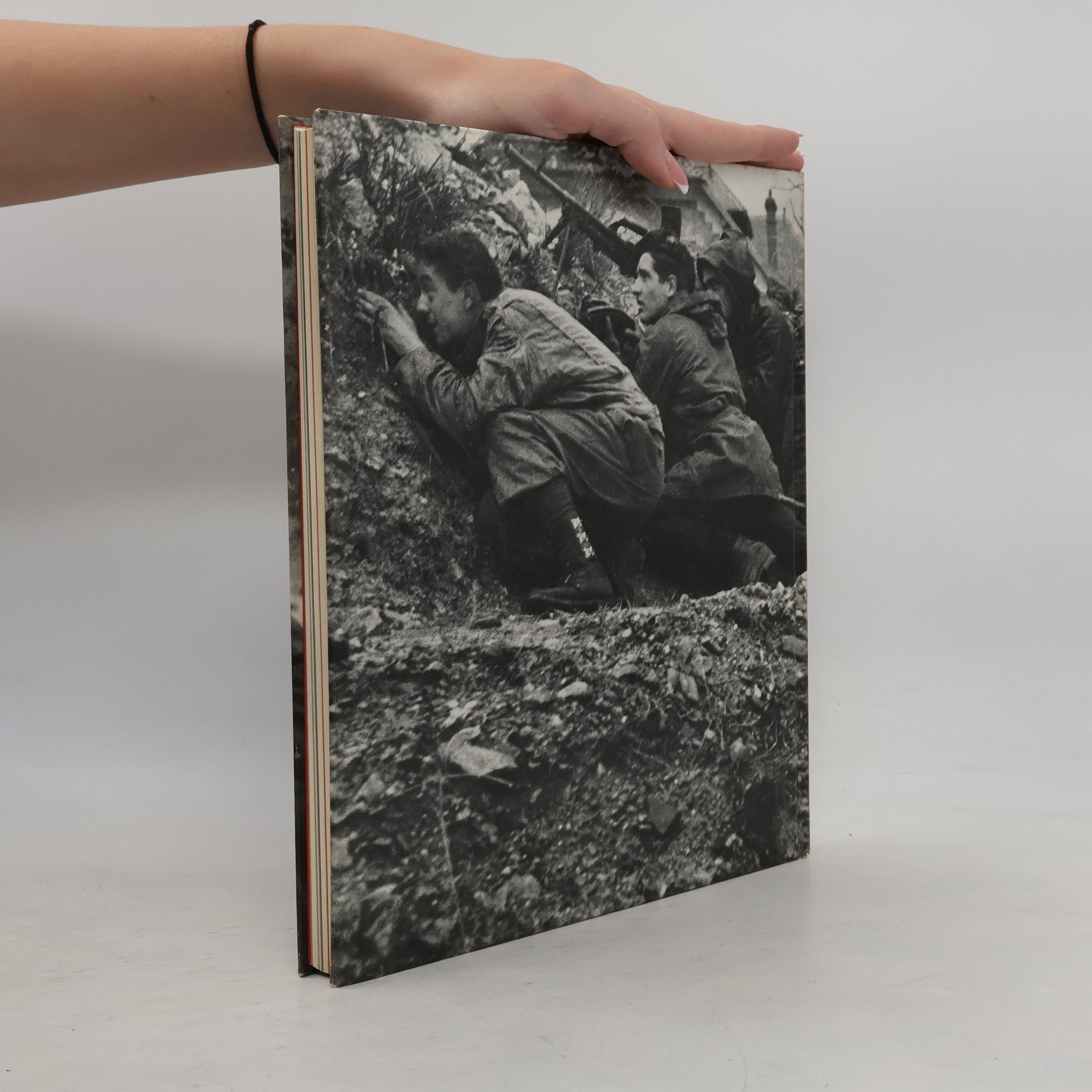 Russell Miller Der Widerstand. Der Zweite Weltkrieg