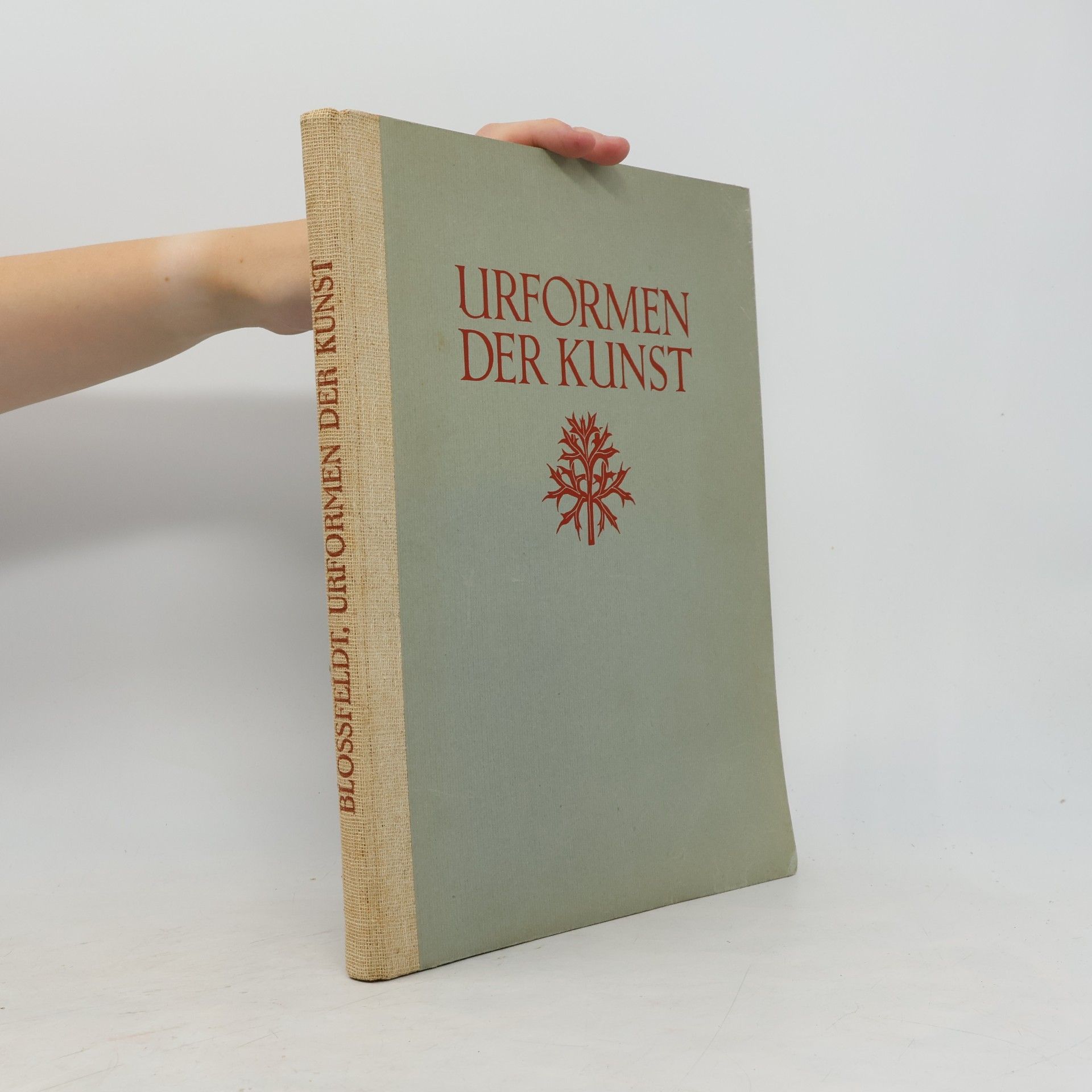 Urformen der Kunst