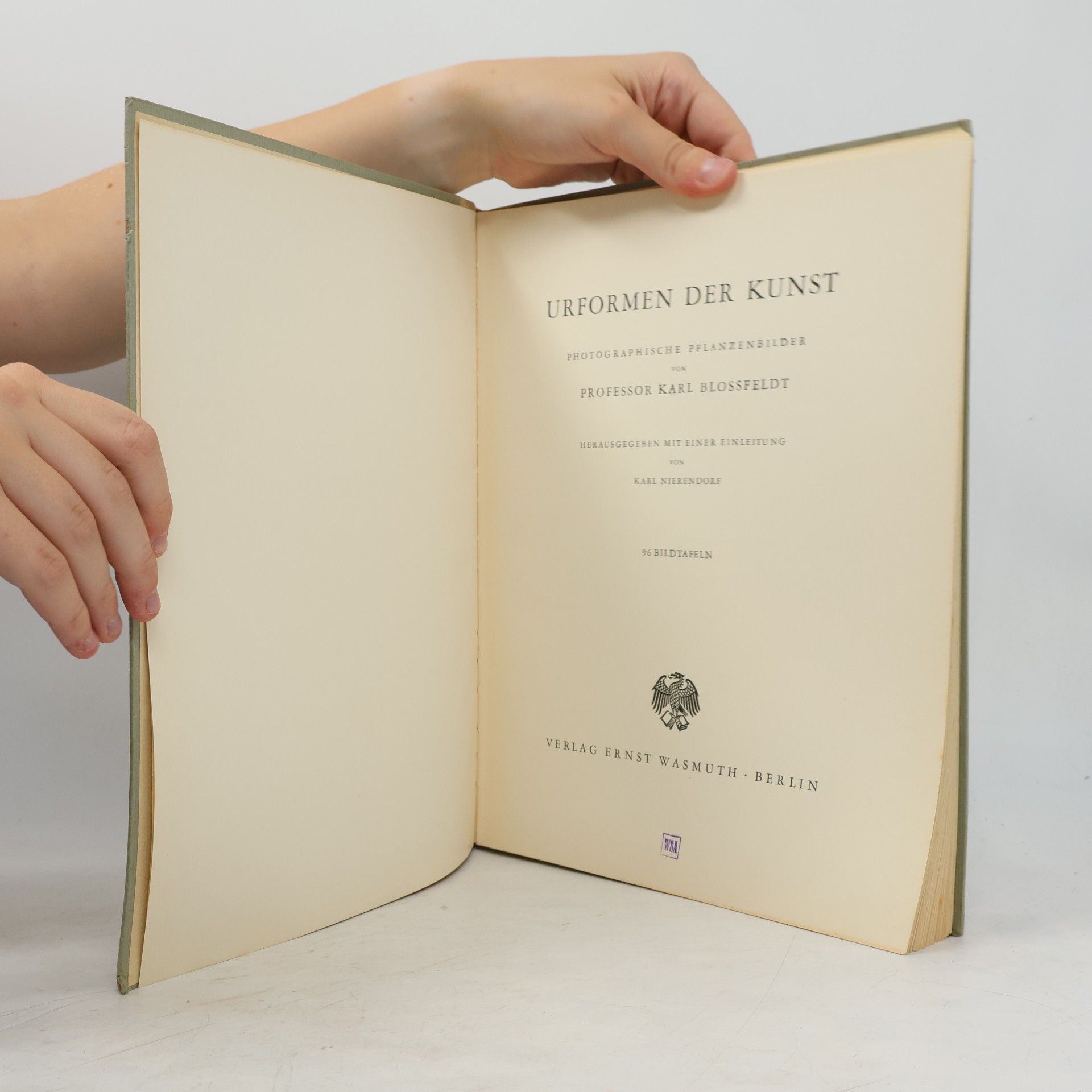 Karl Blossfeldt Urformen der Kunst