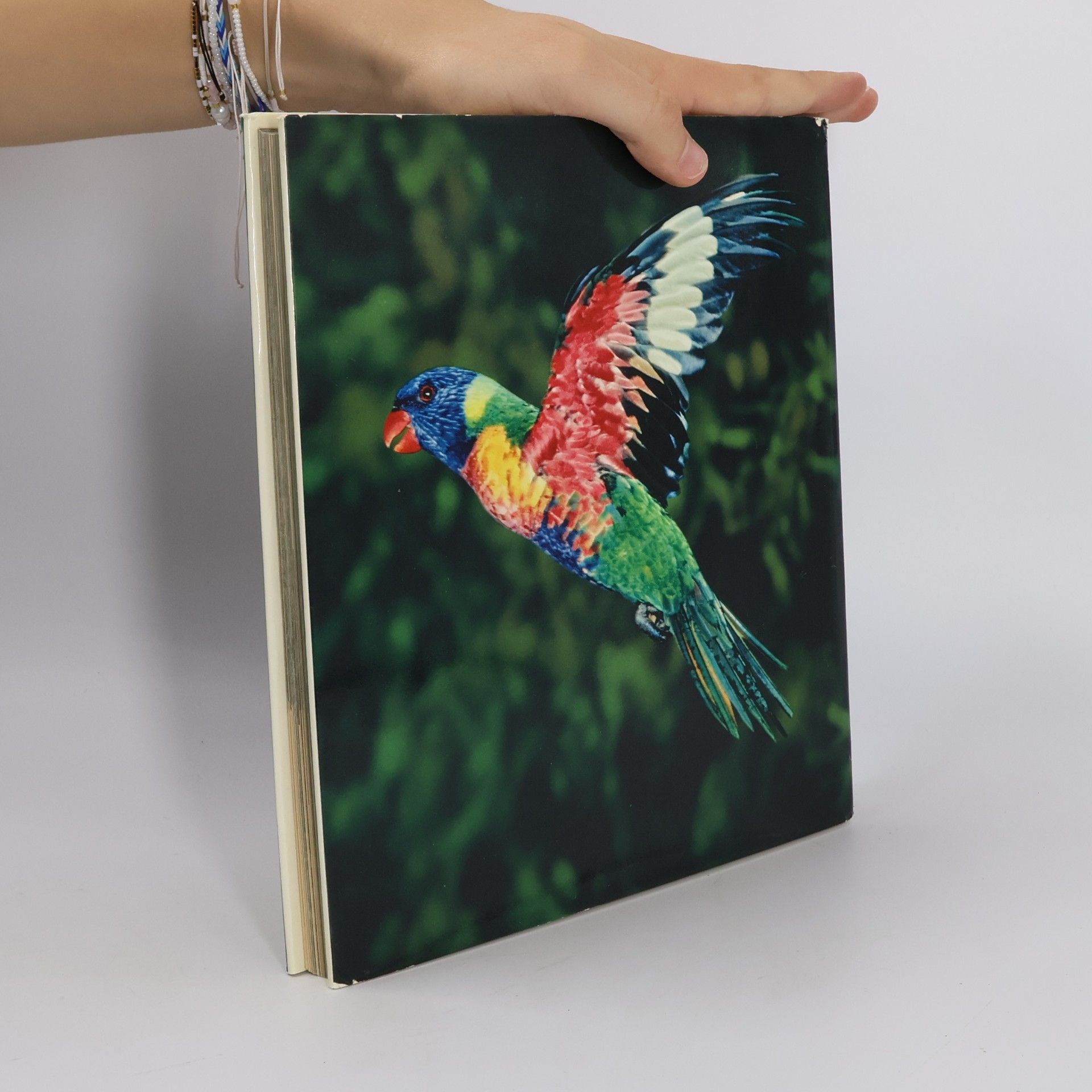 Franz A. Roedelberger Fauna ferner Inseln