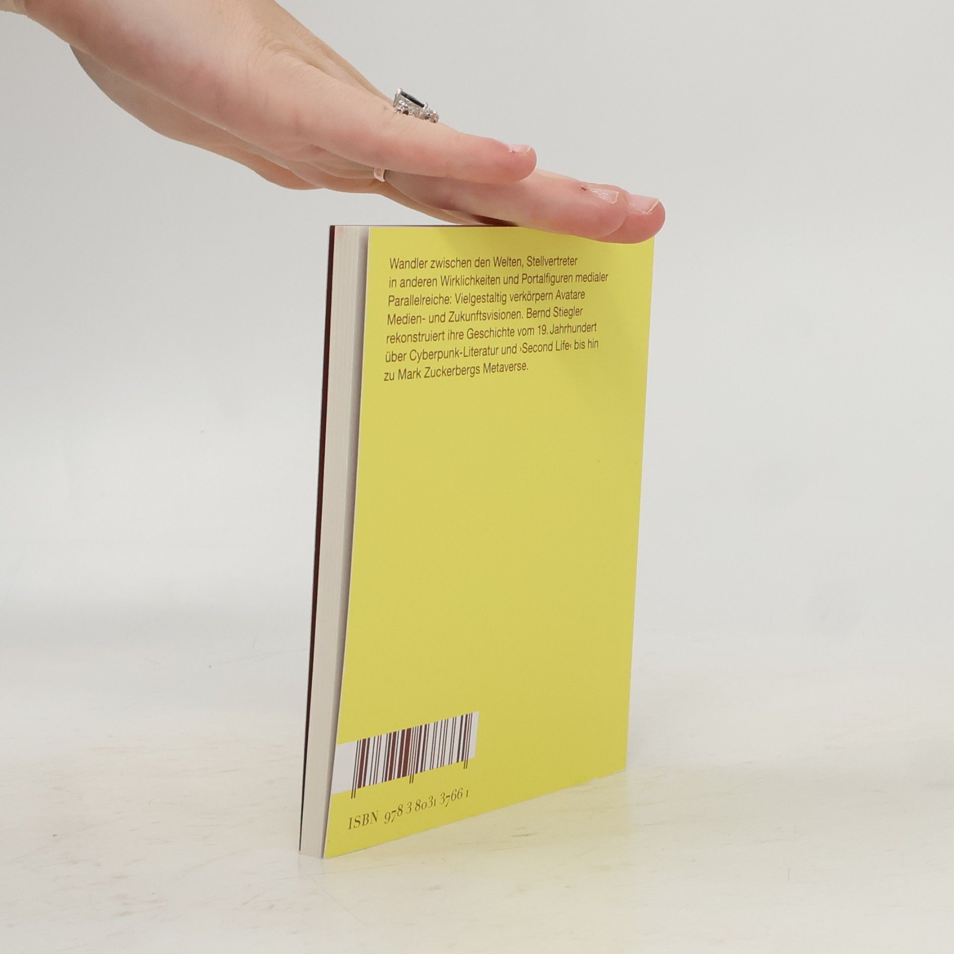 Bernd Stiegler Digitale Bildkulturen: Avatare