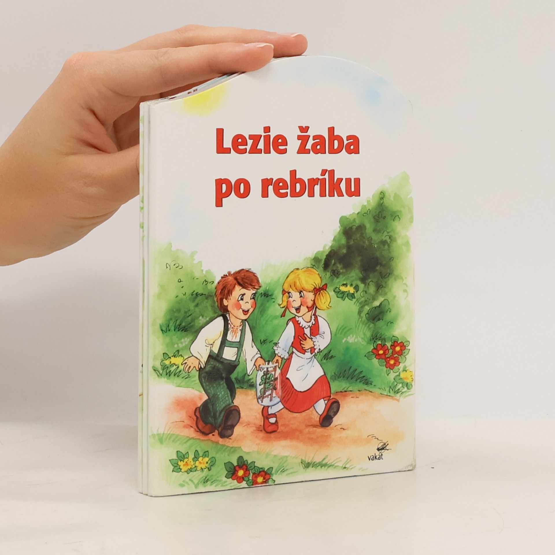 Collectif d'auteurs Lezie žaba po rebríku