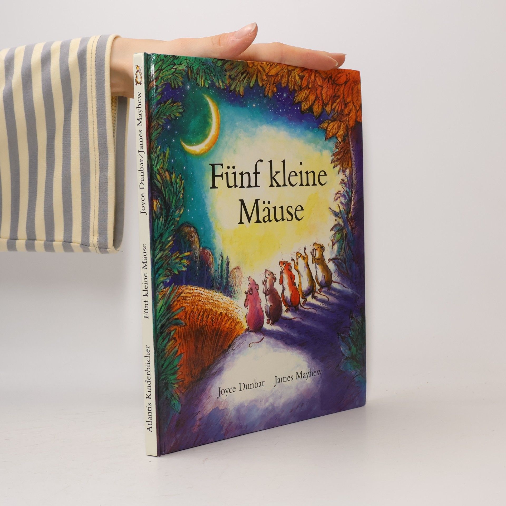 James Mayhew Fünf kleine Mäuse