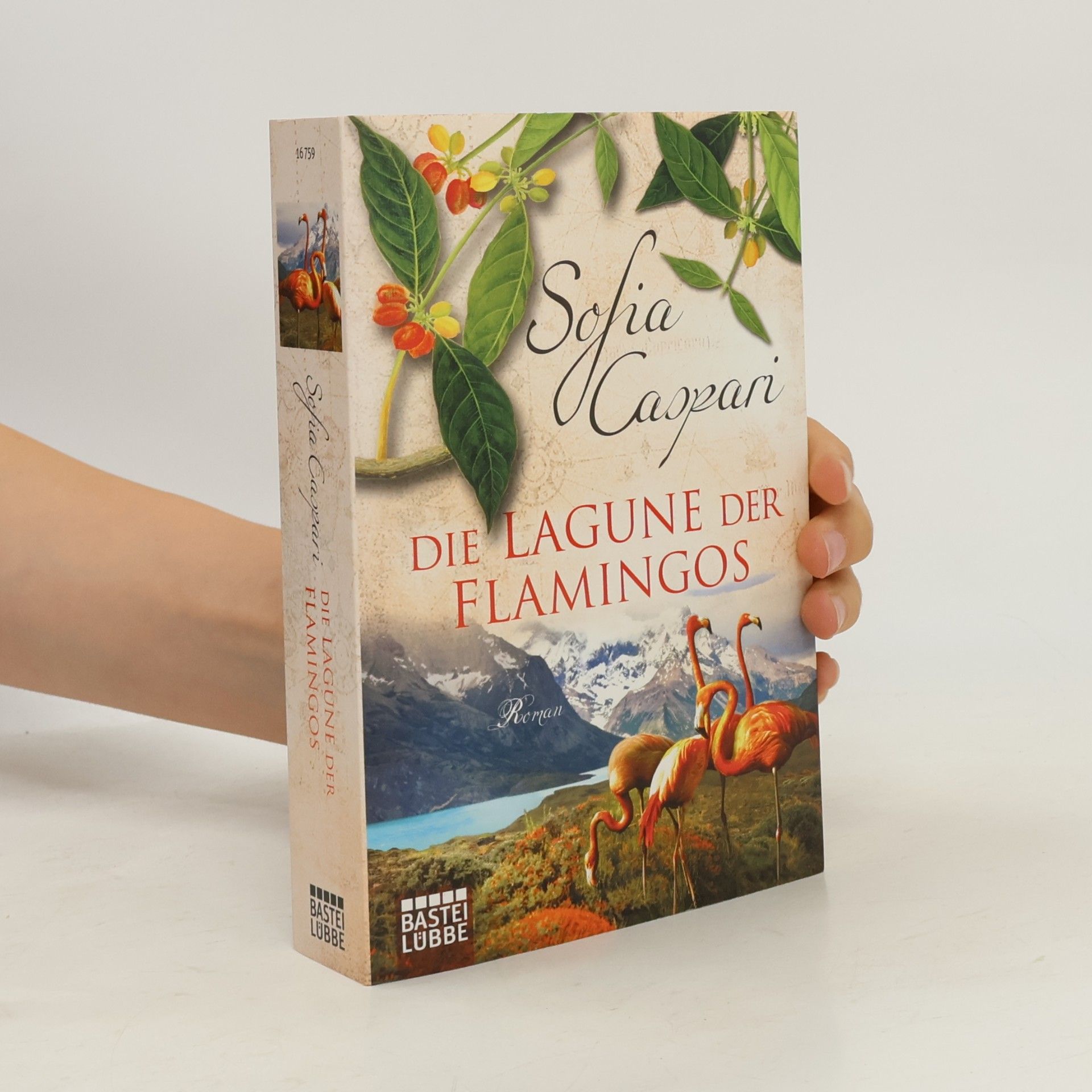 Die Lagune der Flamingos