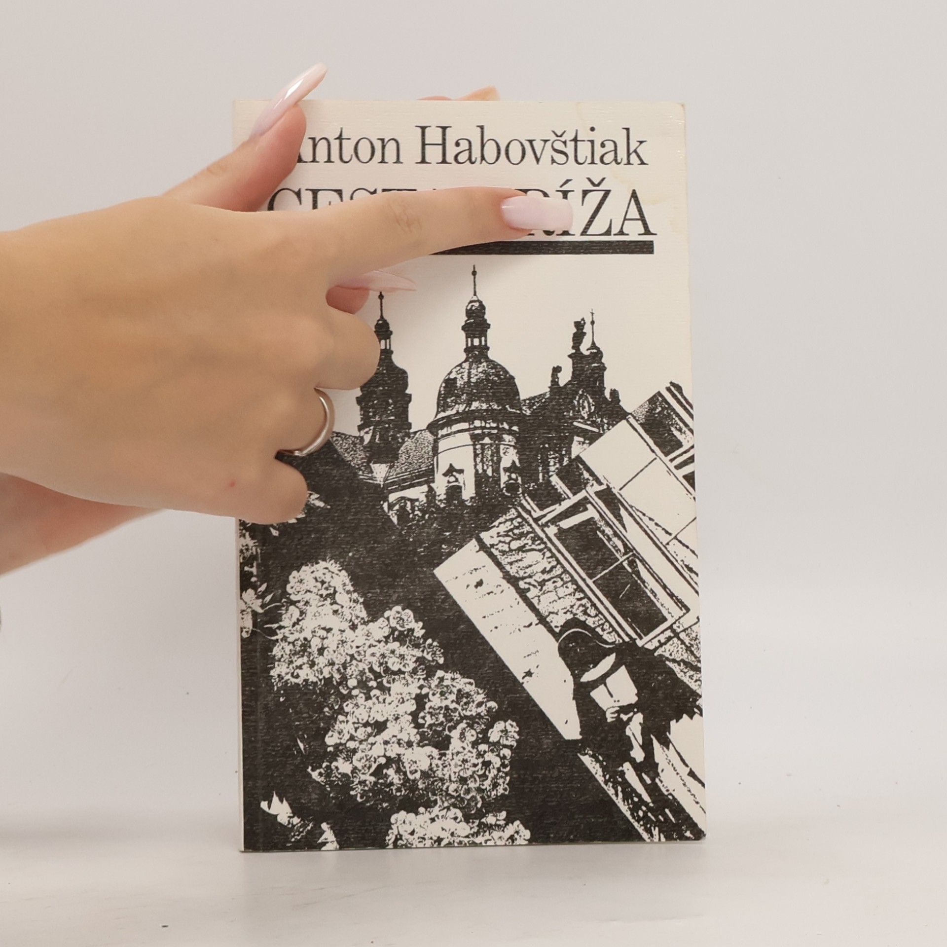 Anton Habovštiak Cesta kríža