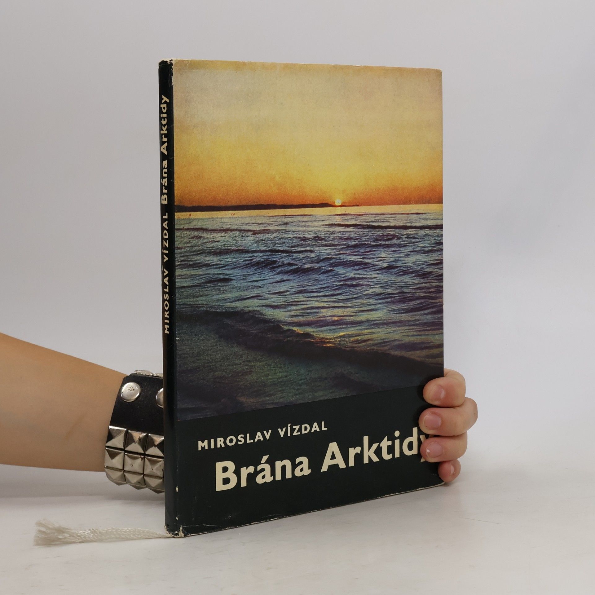 Miroslav Vízdal Brána Arktidy