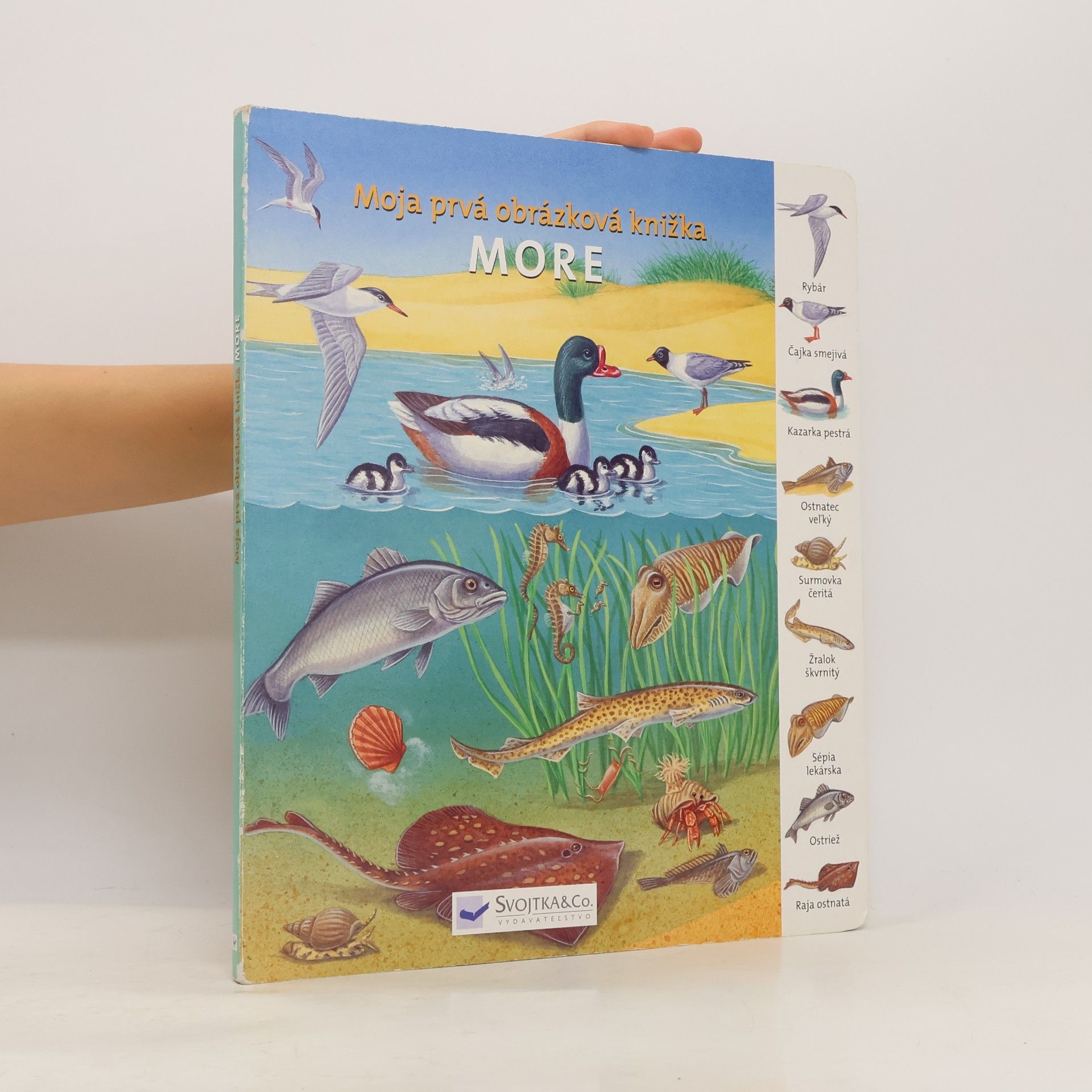 Autorenkollektiv Moja prvá obrázková knižka - More